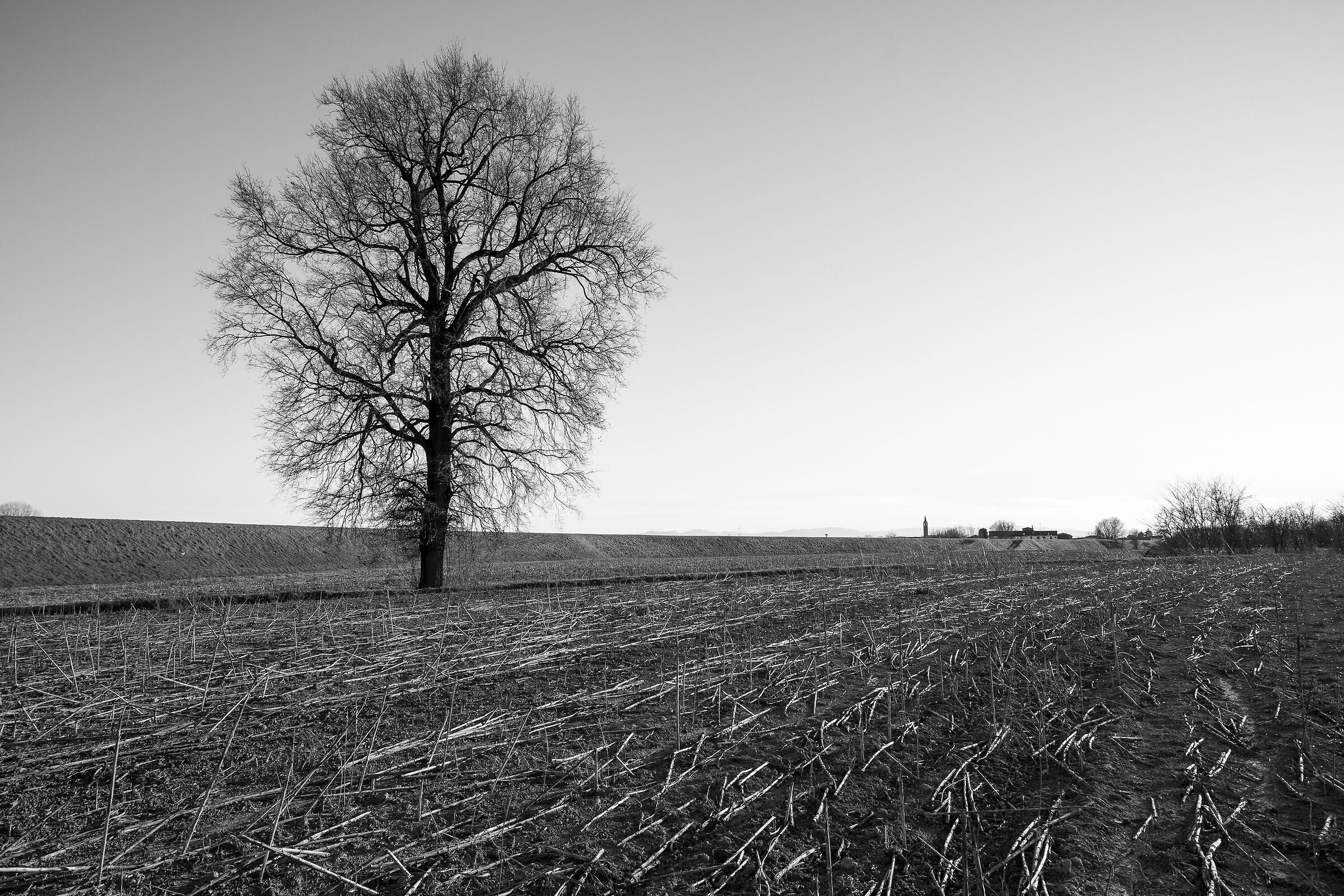 Body and universe are one