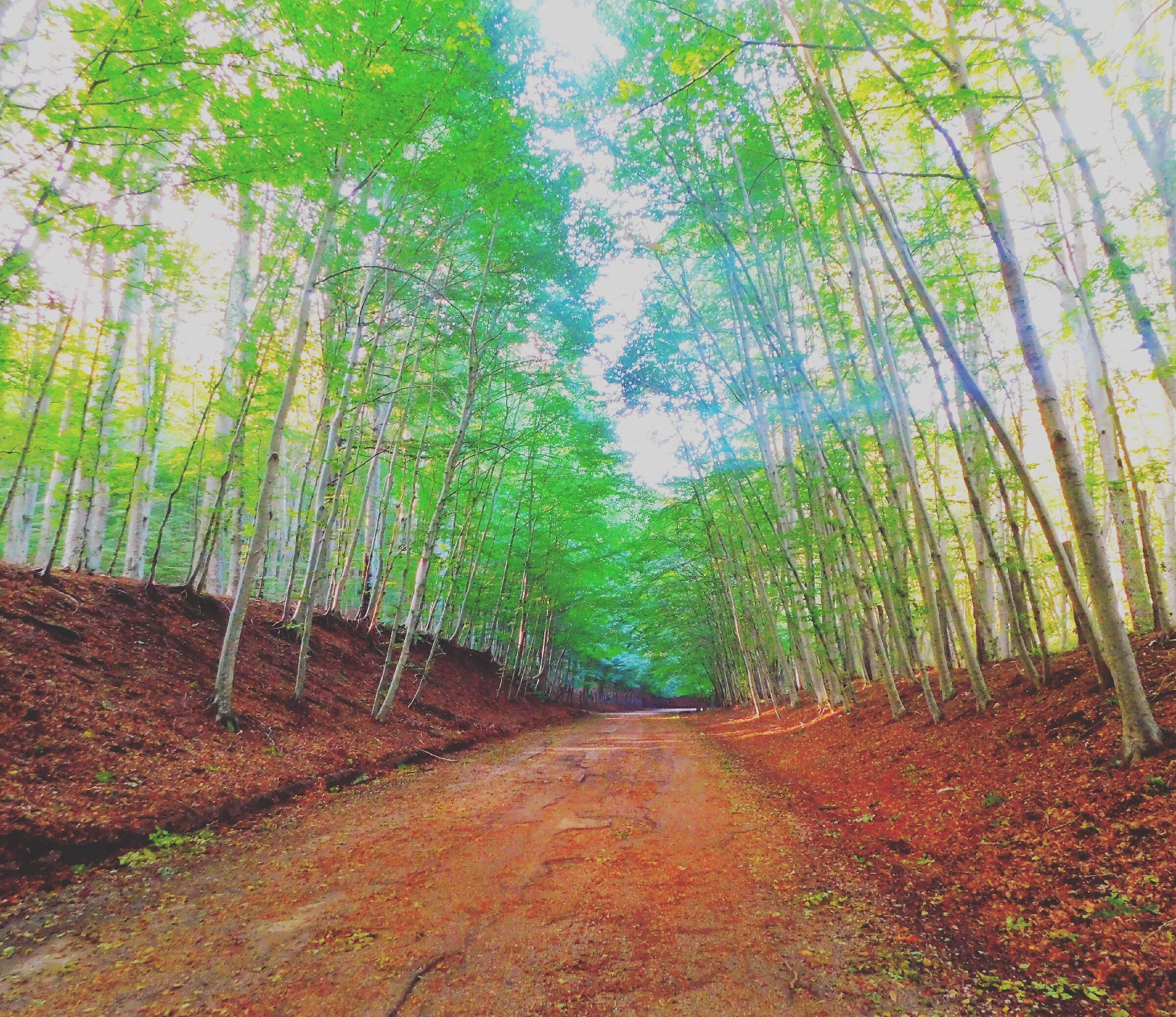 [LOADING...]