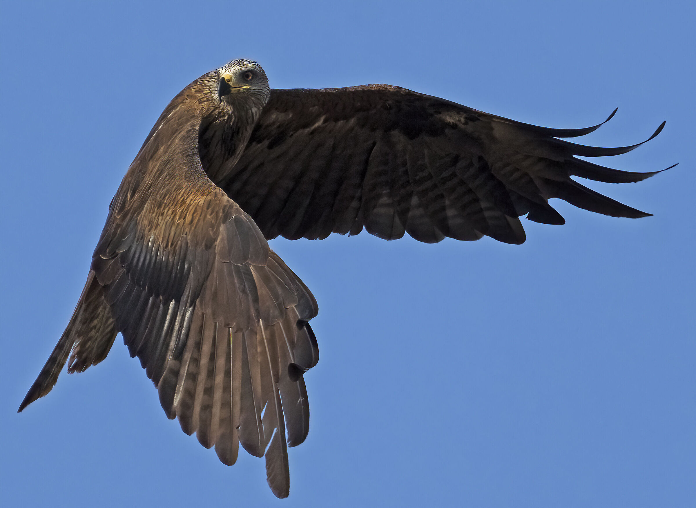 le nuove generazioni crescono...