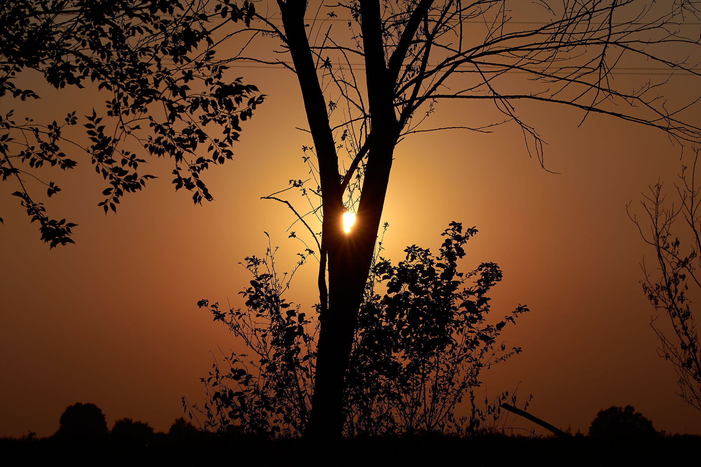 Sunset in the shadows