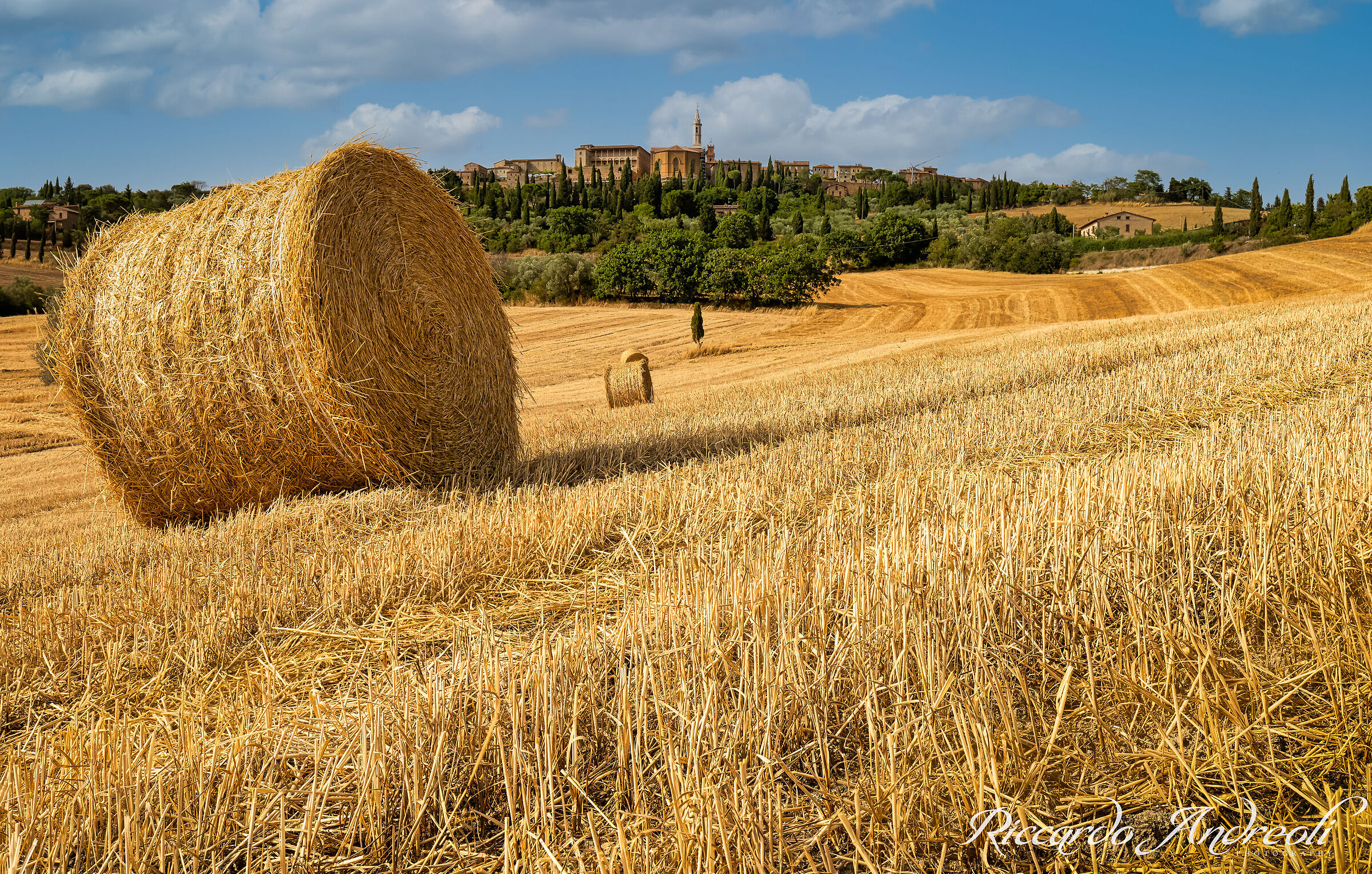 the wheat of Tuscany