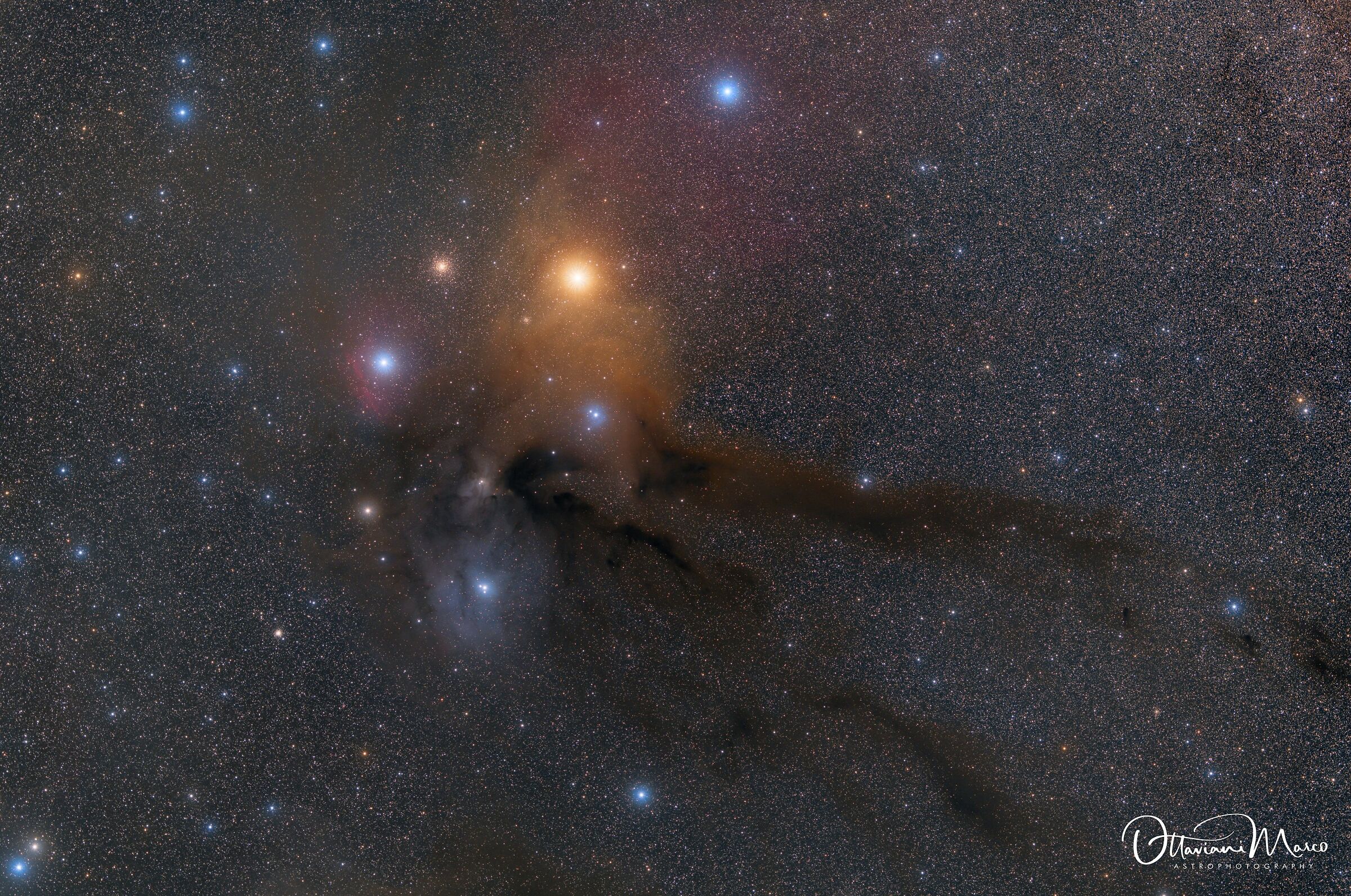 Rho Ophiuchi