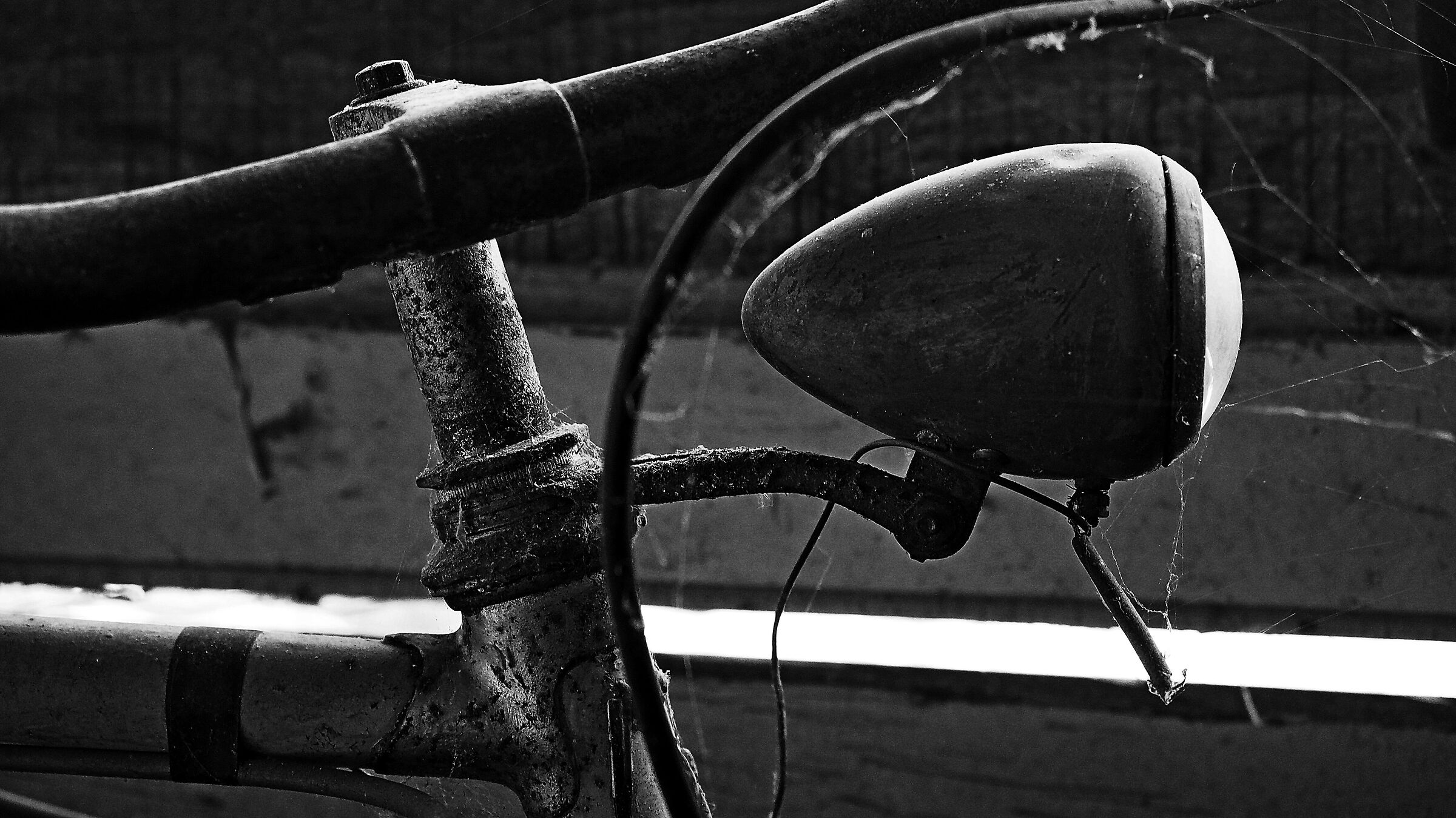 Bici nel pollaio - Particolare