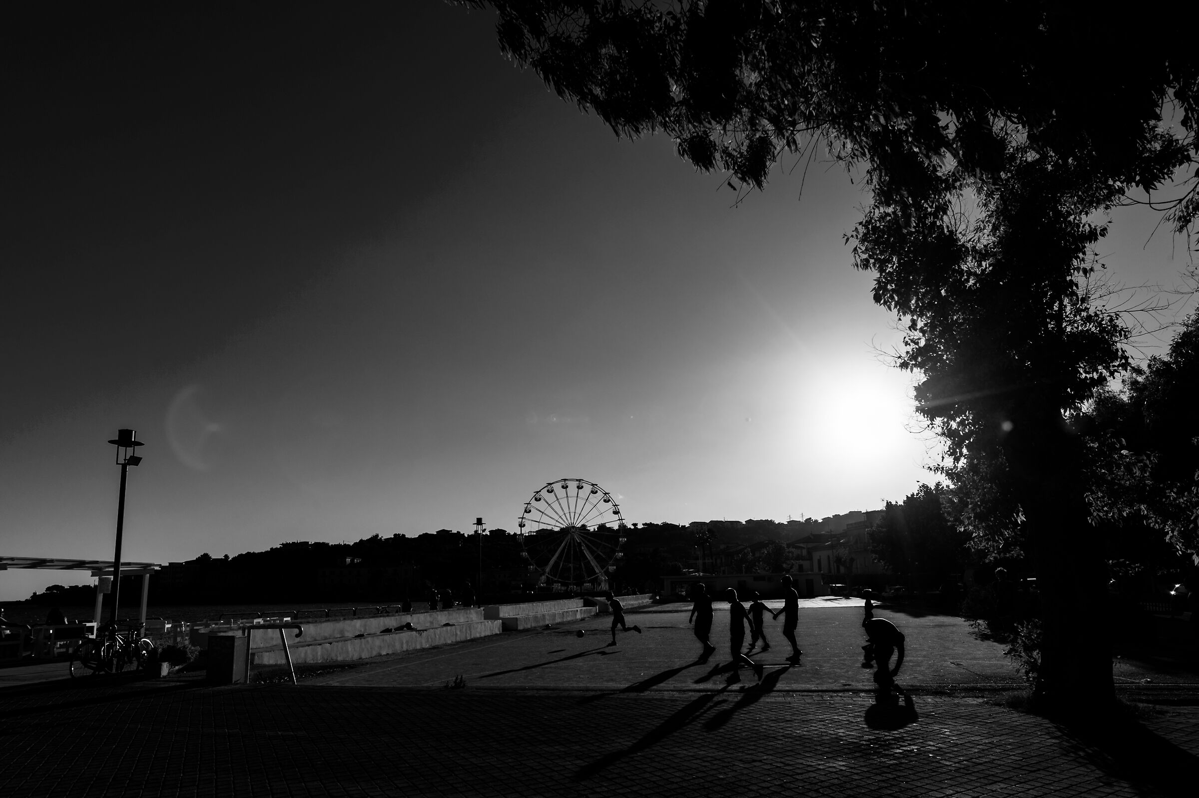 Untitled Photo