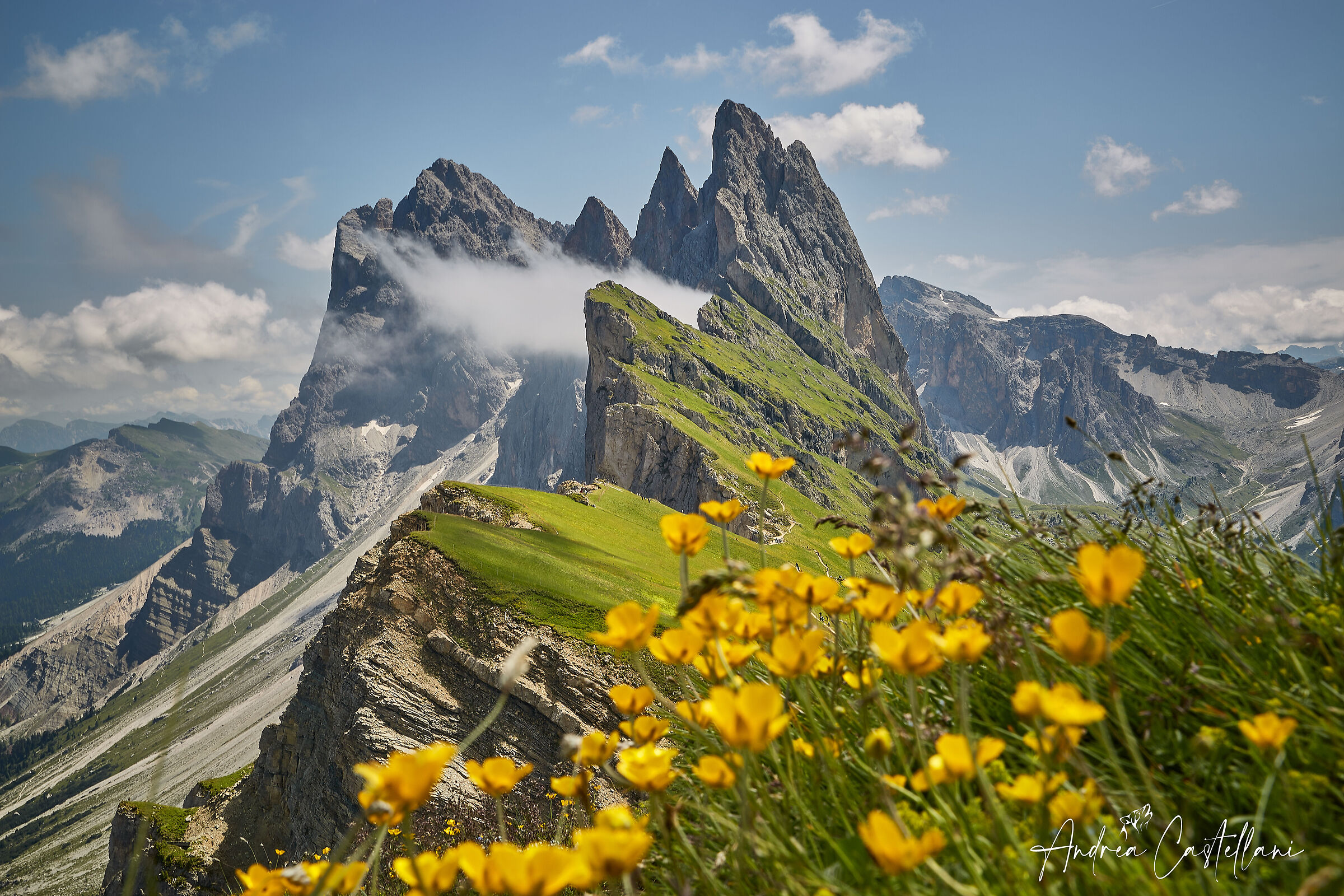Golden button with Seceda view
