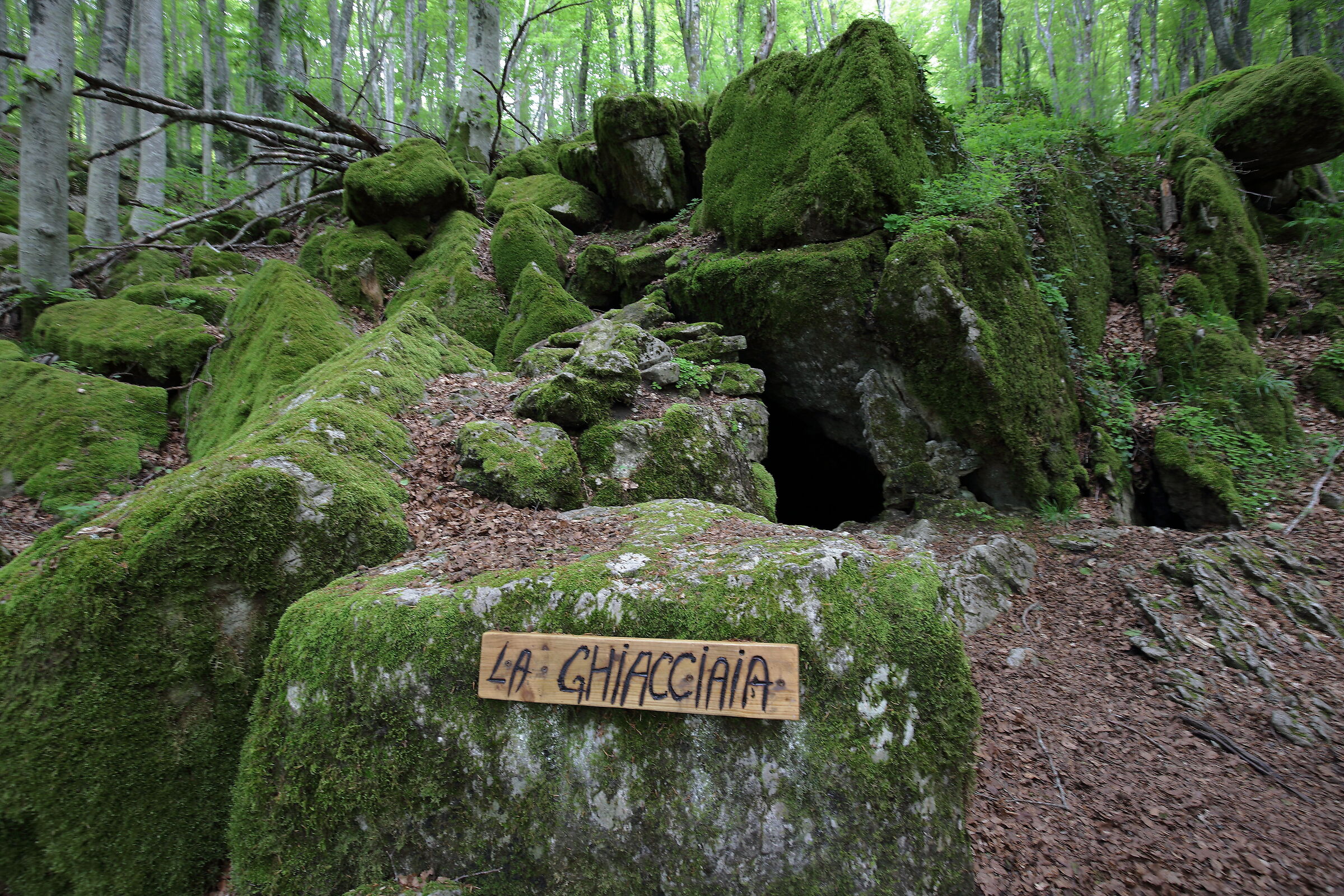 La curiosità della "Ghiacciaia"