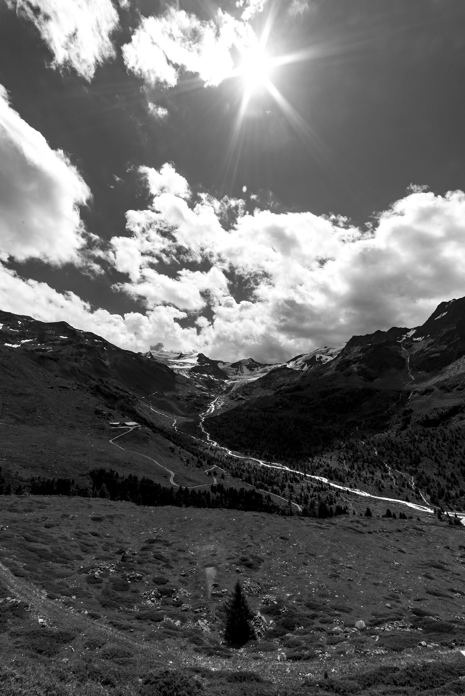 Ortles Cevedale Group