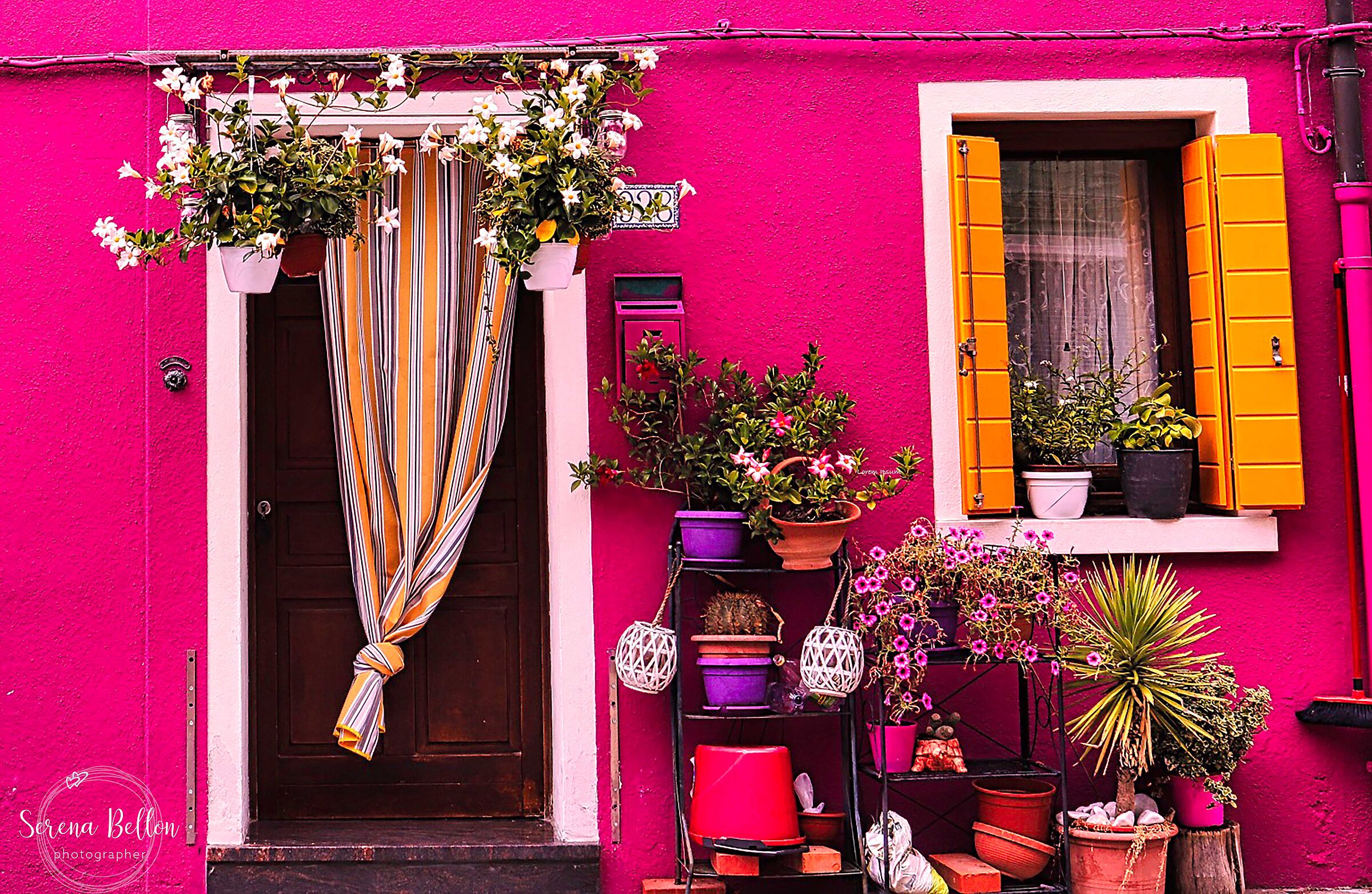 se un giorno incontrerò Dio lo voglio ringraziare per...