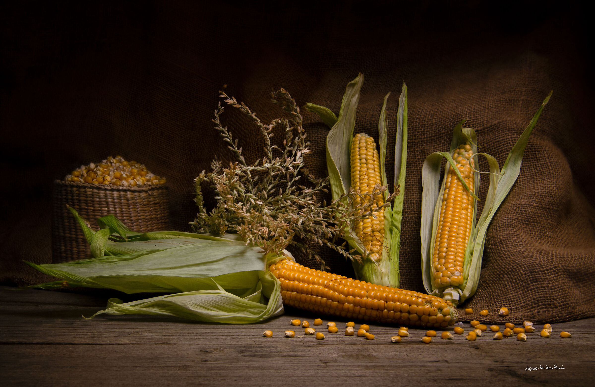 maize... light painting