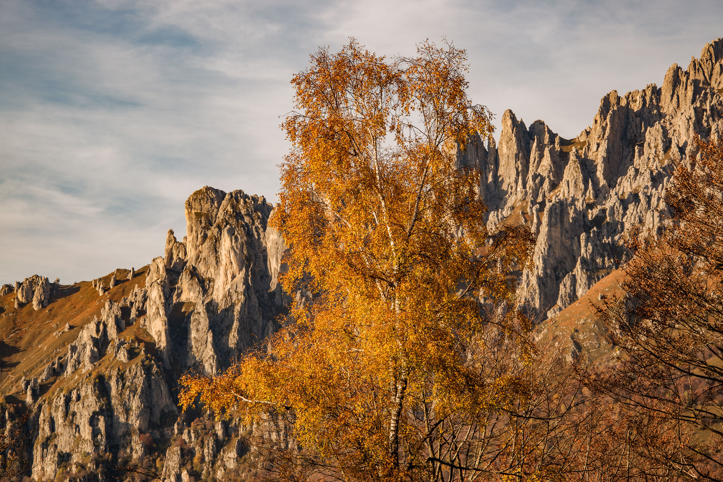 autunno in Grigna