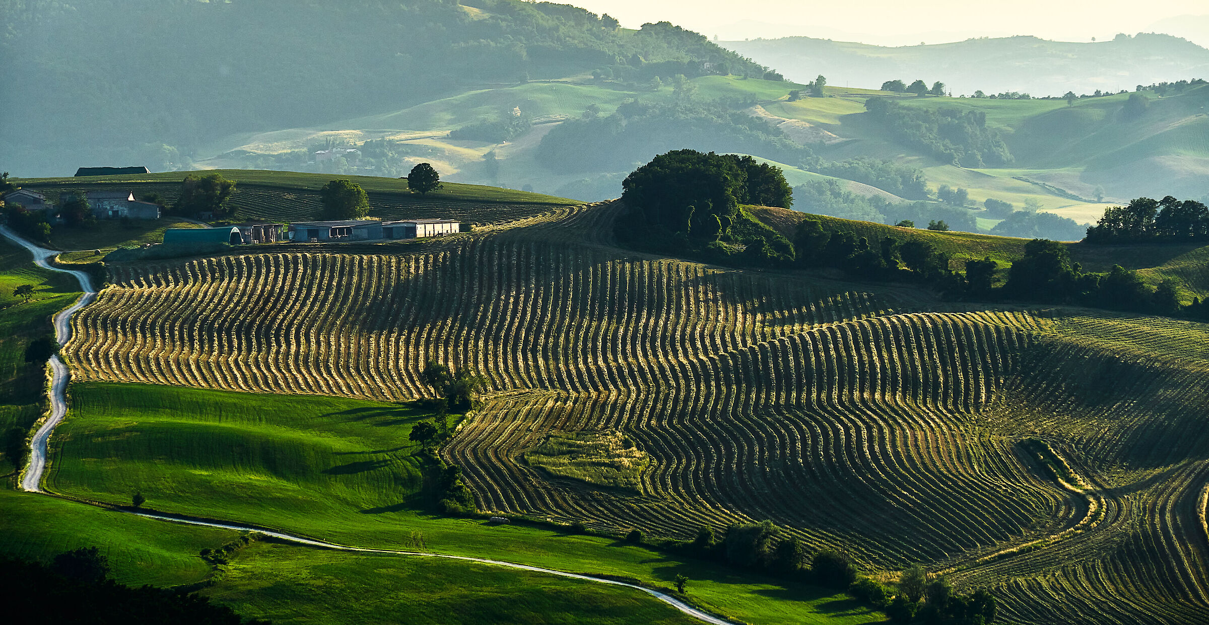 Agricoltura creativa