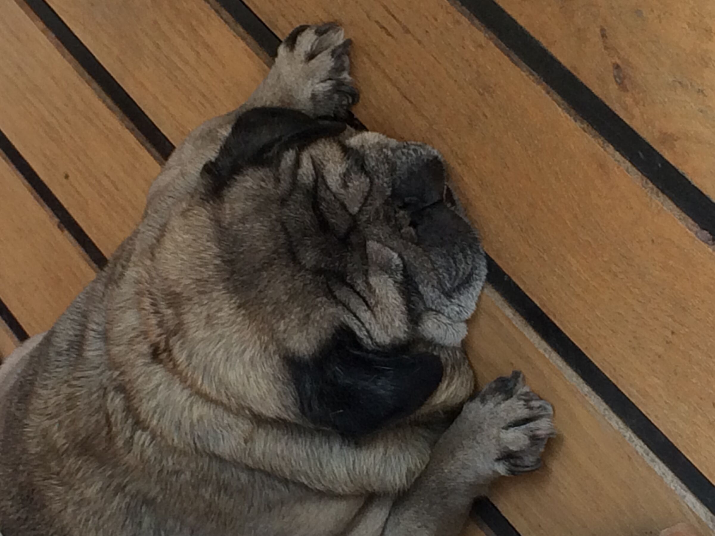 Sonno Rem