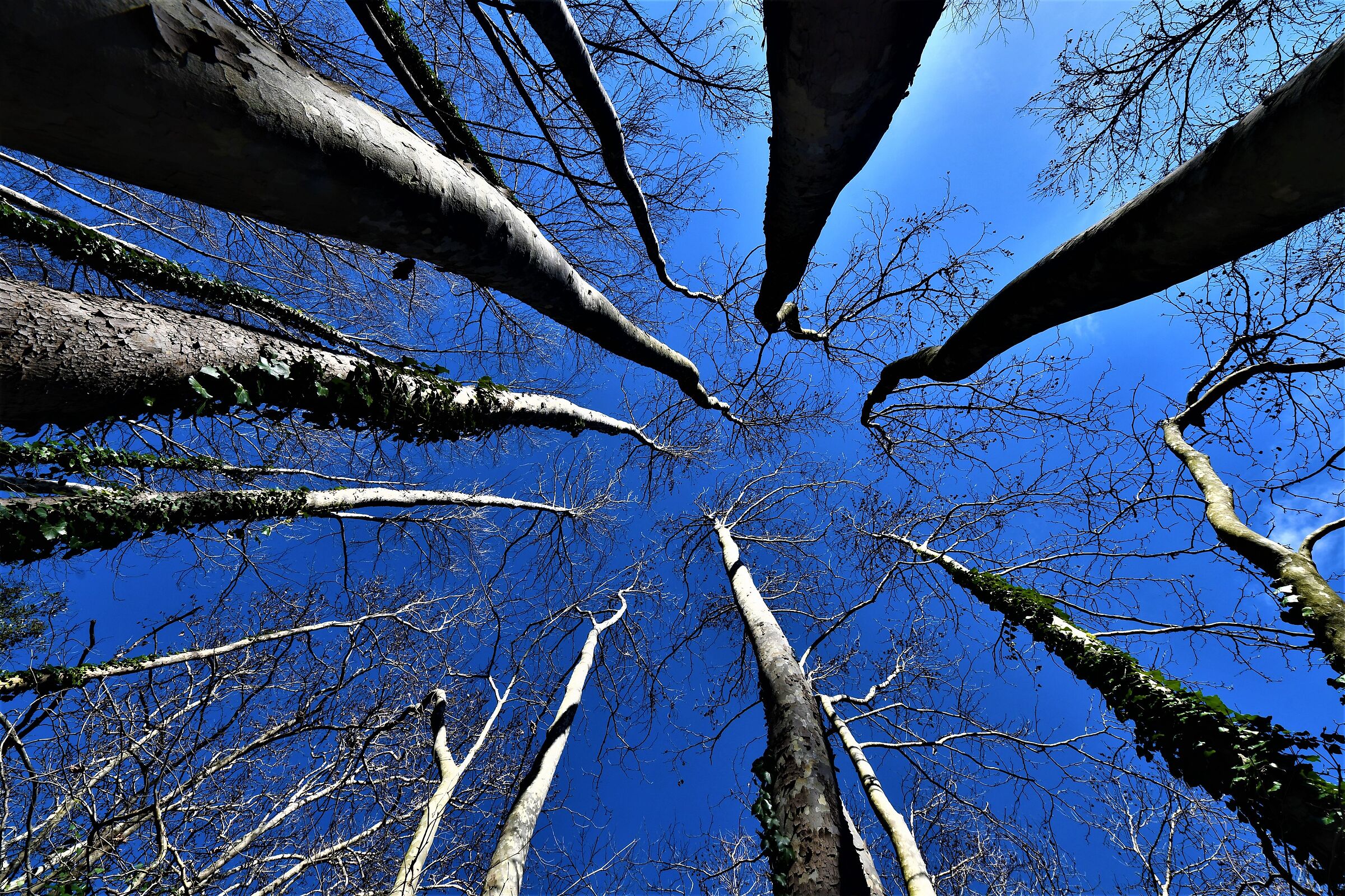 . . . towards infinity and beyond ...