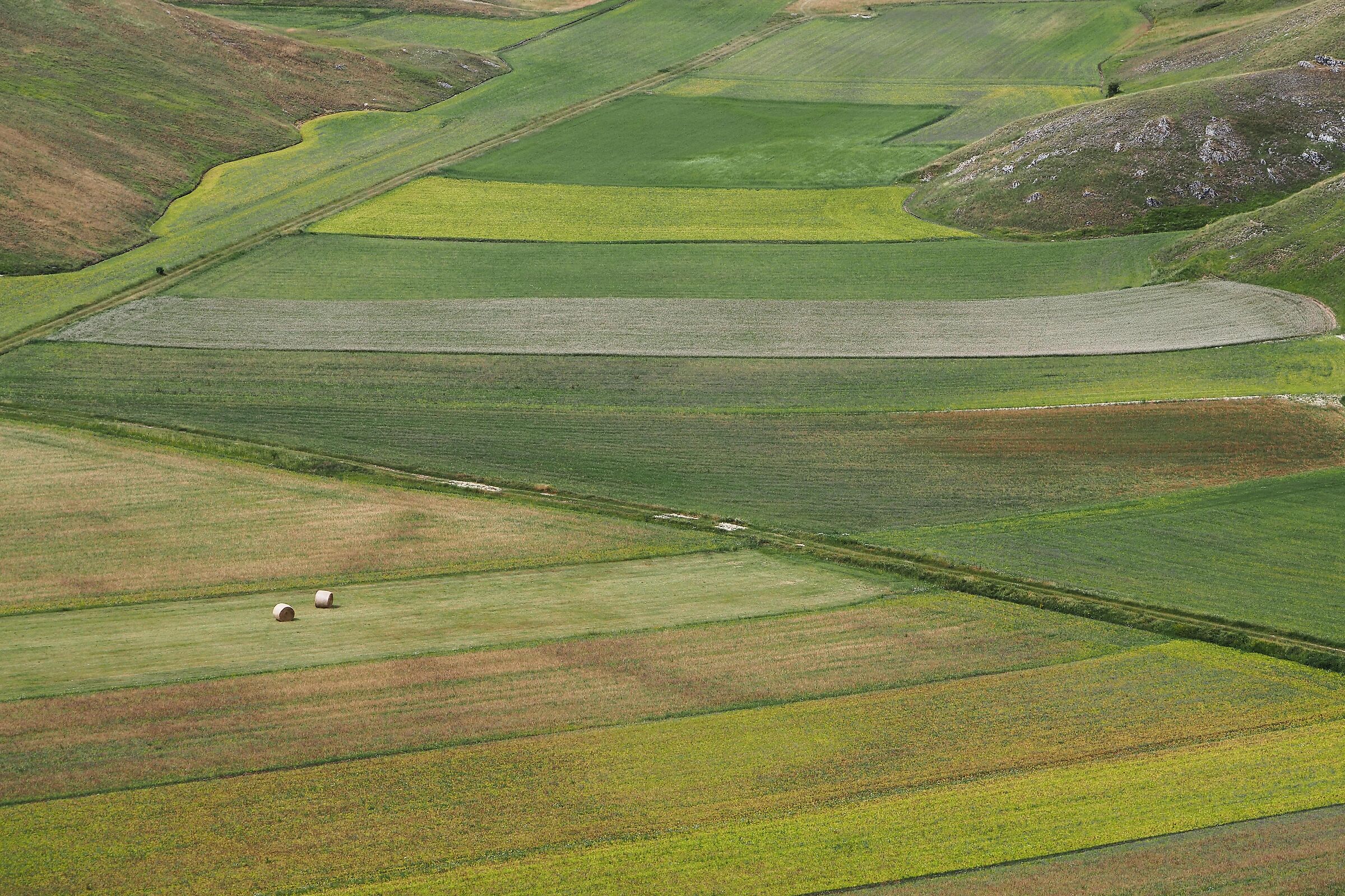 Plain of Castelluccio
