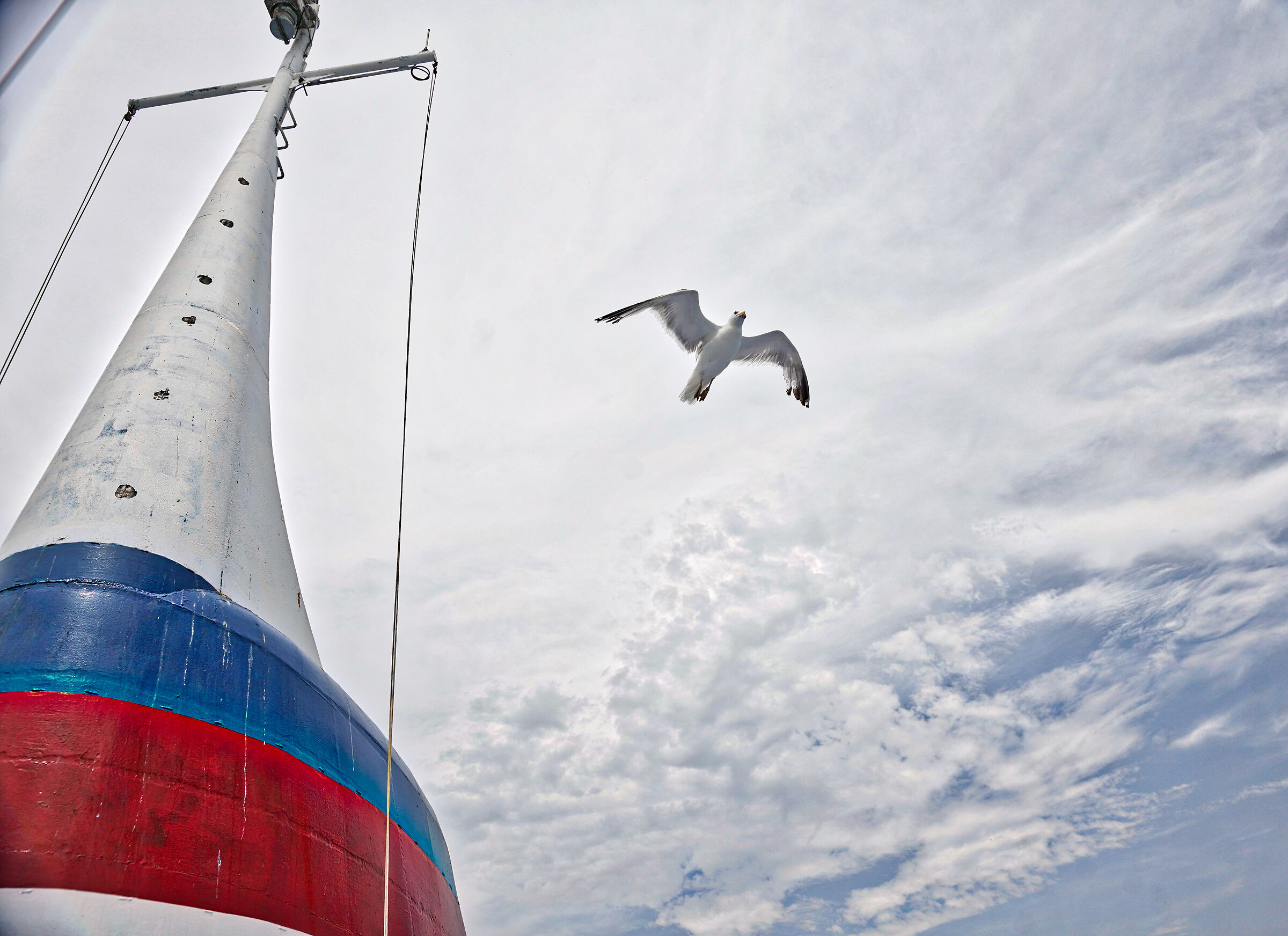 Freedom