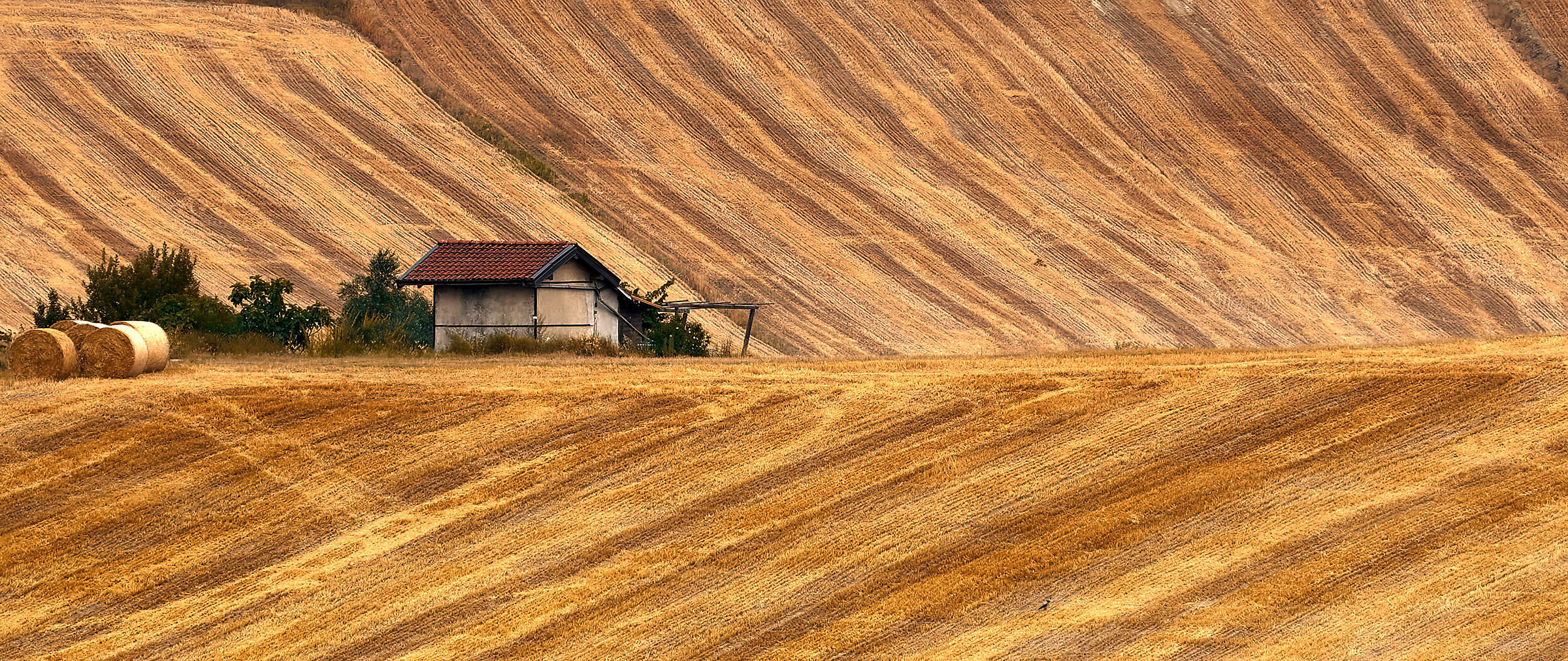 Mietitura - Sarezzano 08.21