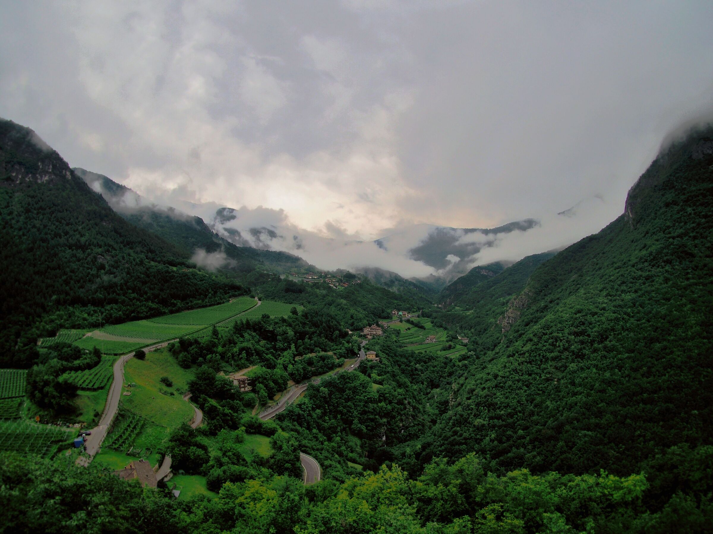 Trentino
