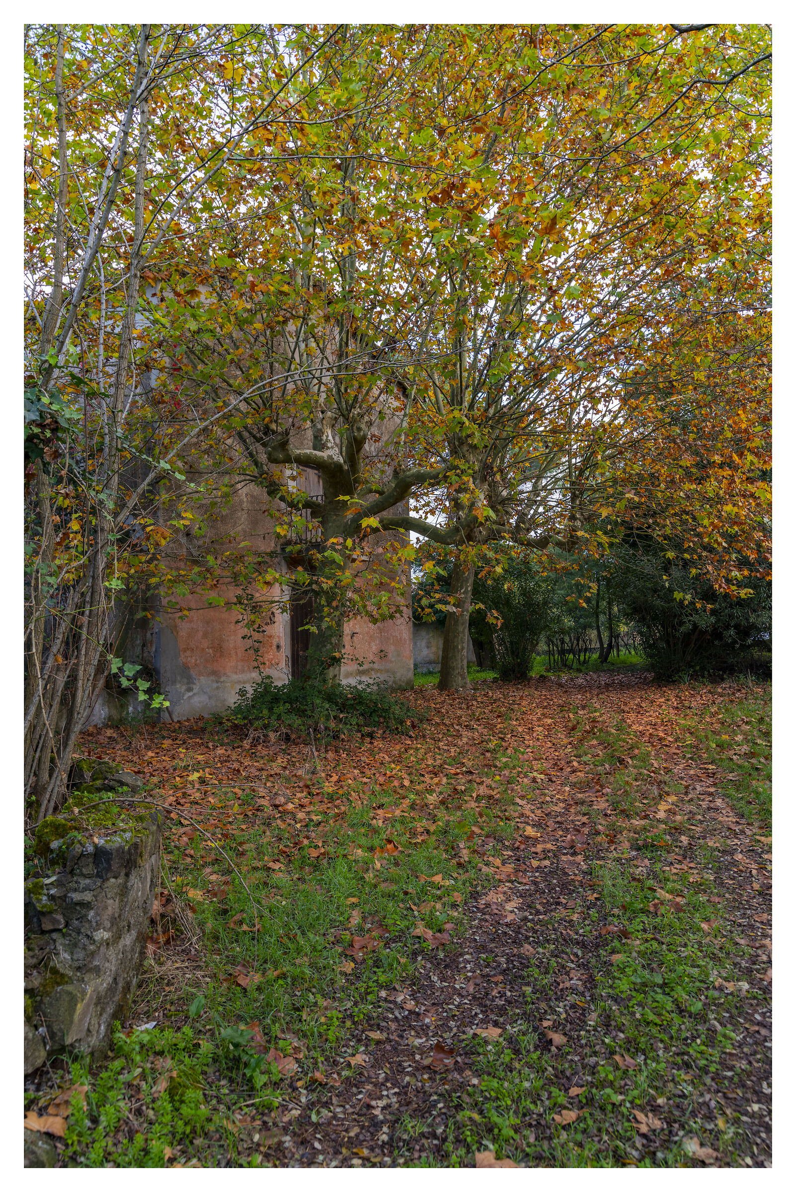 Ruins of the house of Santa Maria Goretti in Paliano