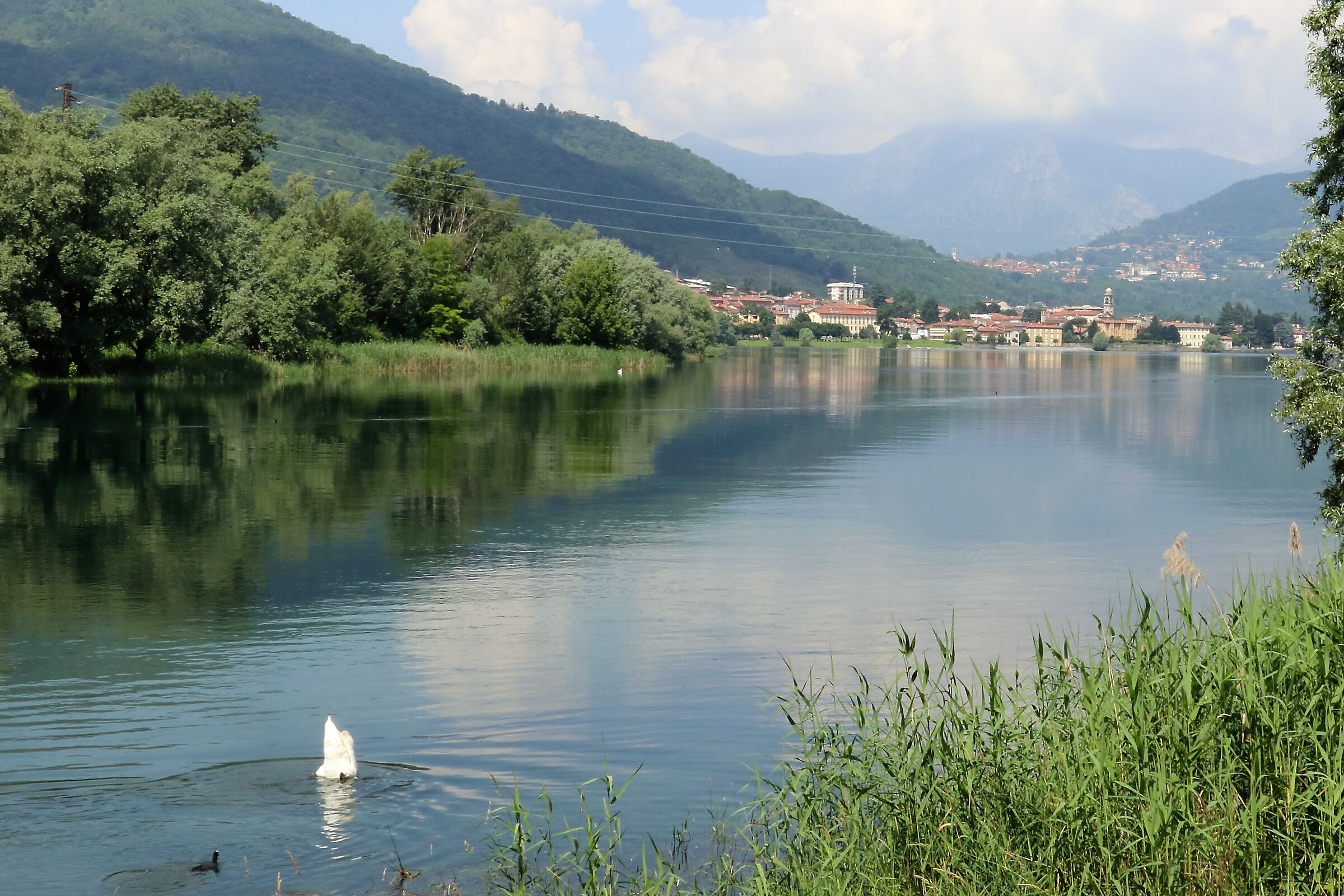 Olginate dal Lavello