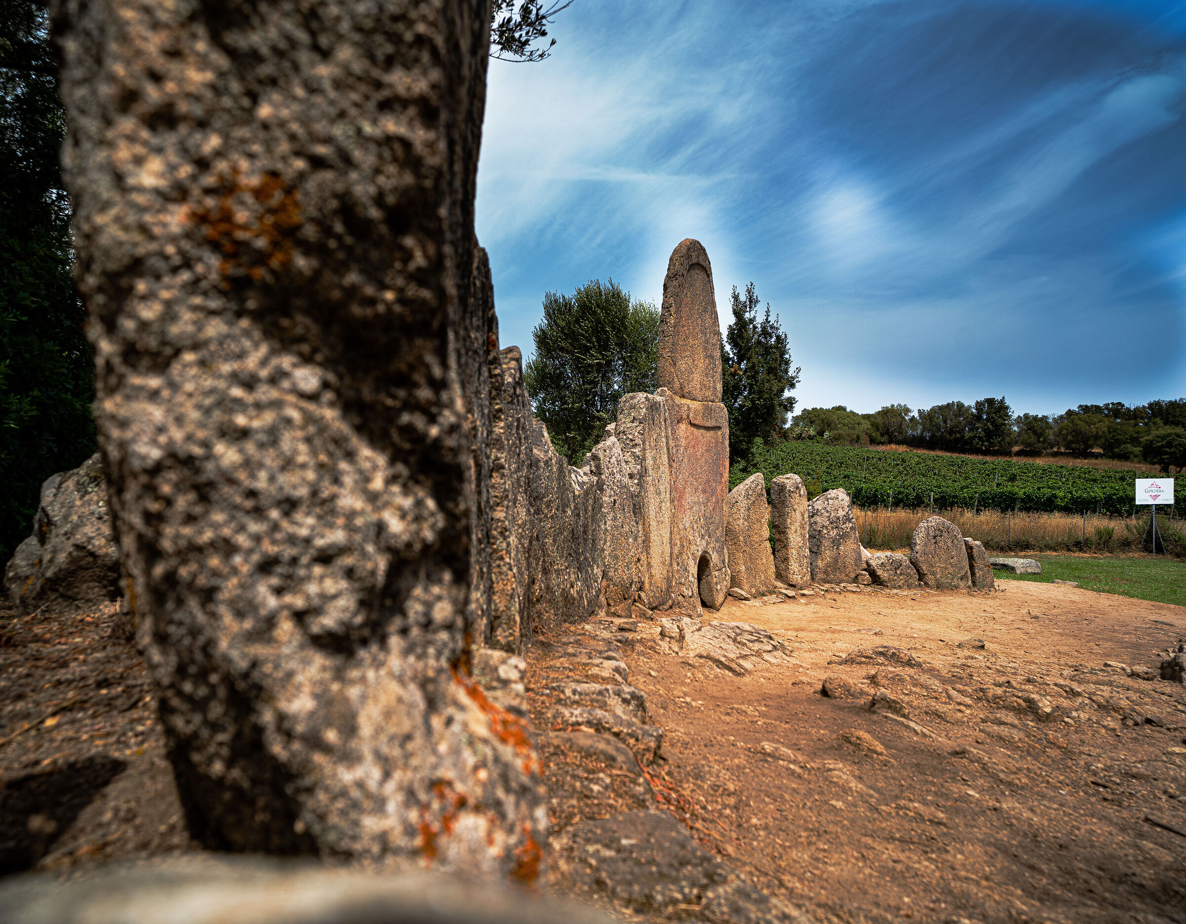 Tra Vino e Archeologia