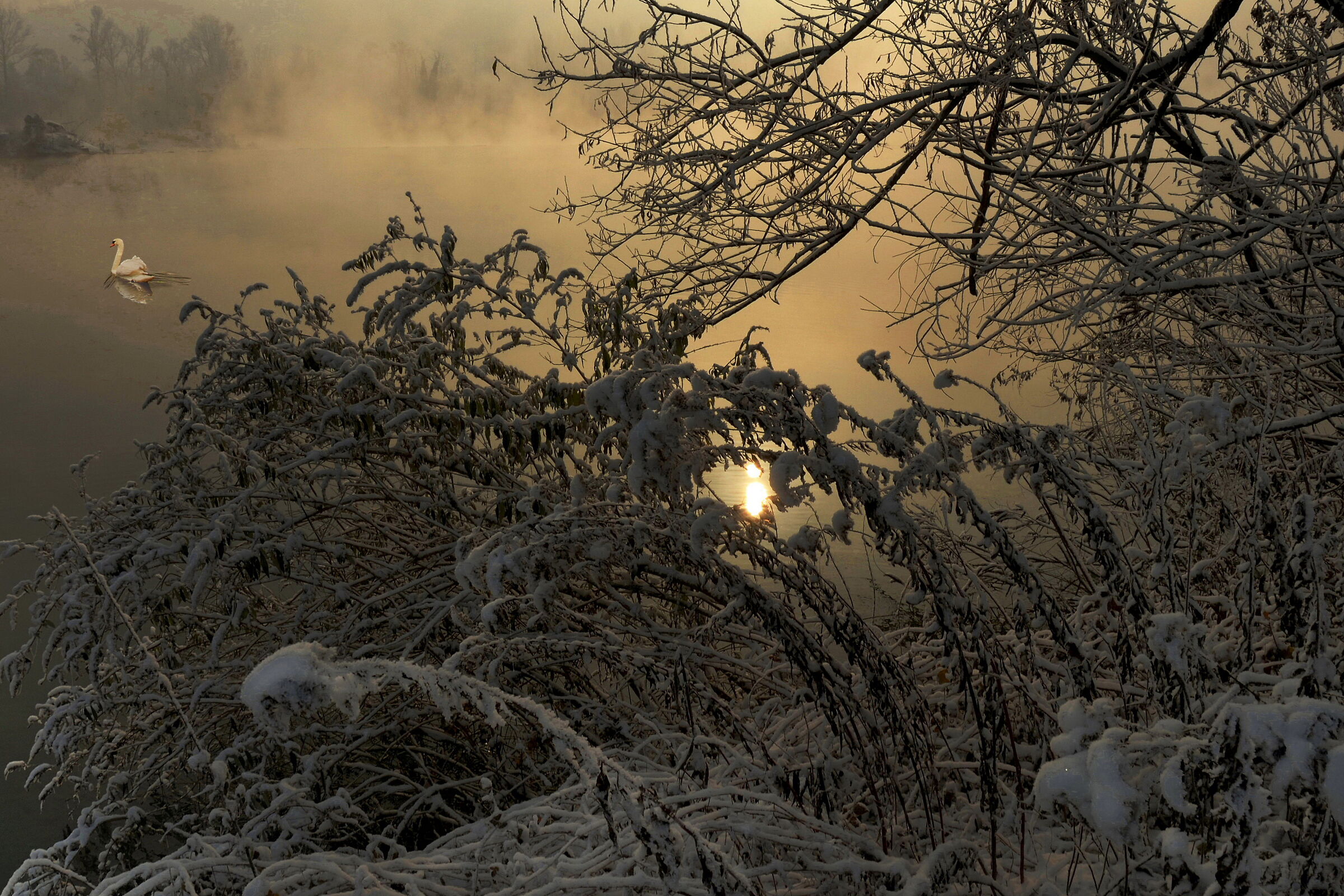 Il laghetto incantato