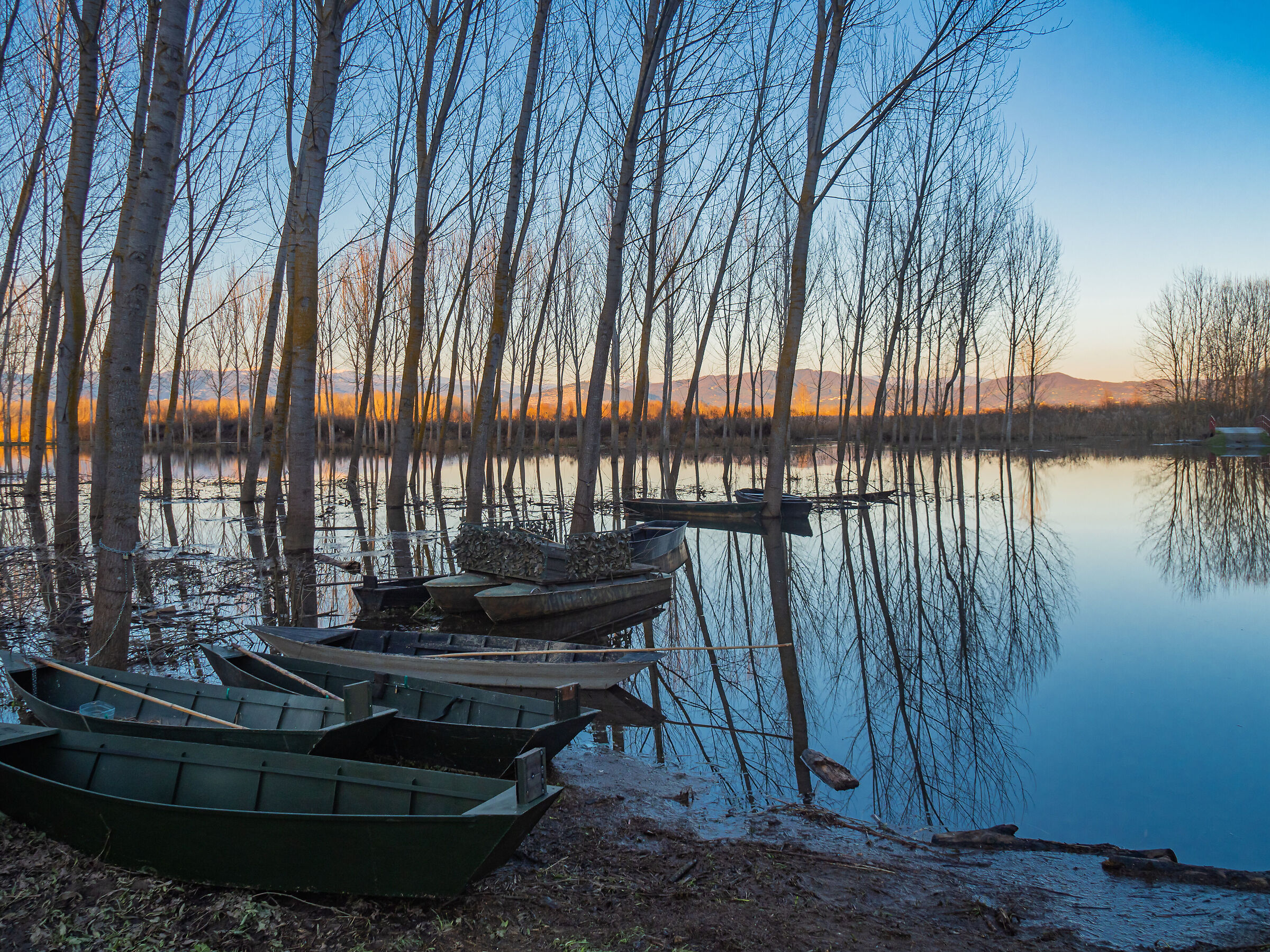 Padule di Fucecchio 01