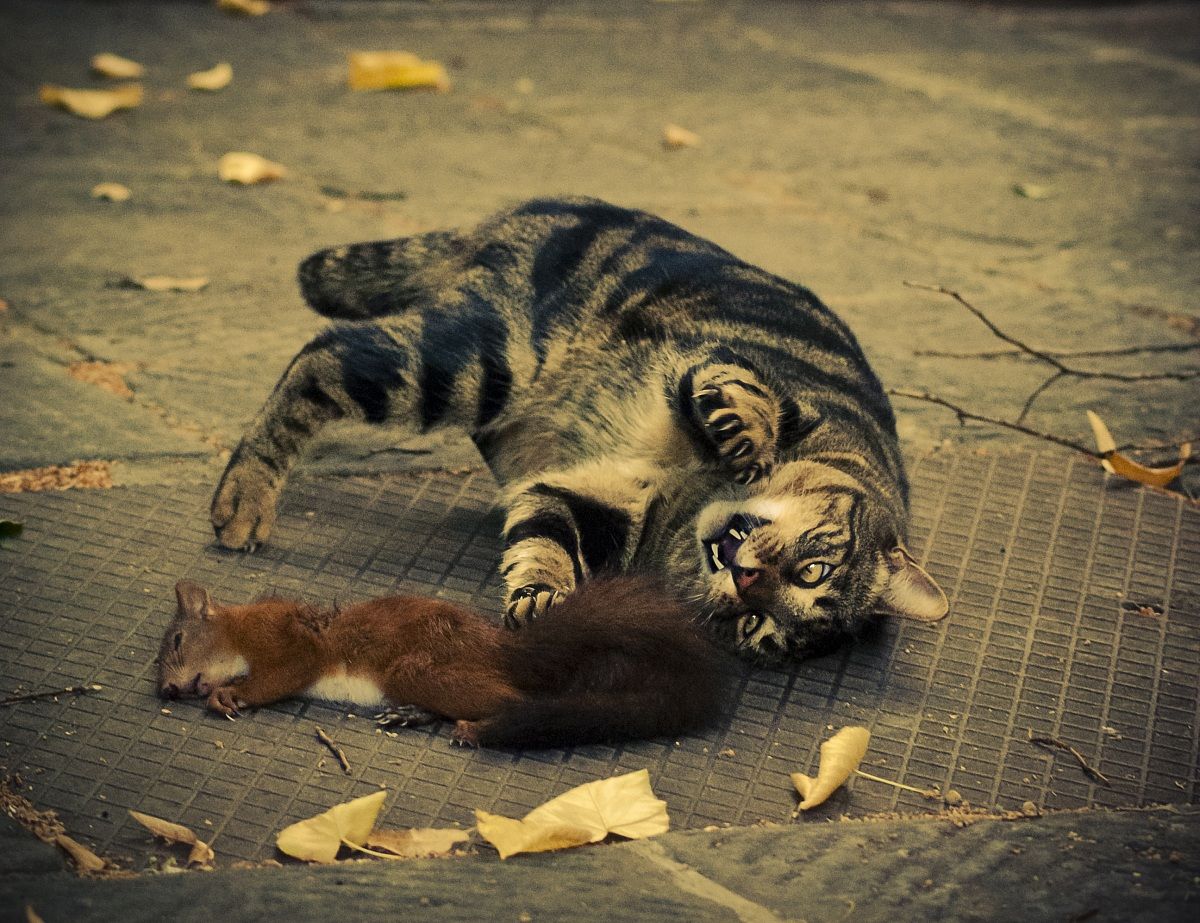 Do not play with your food!