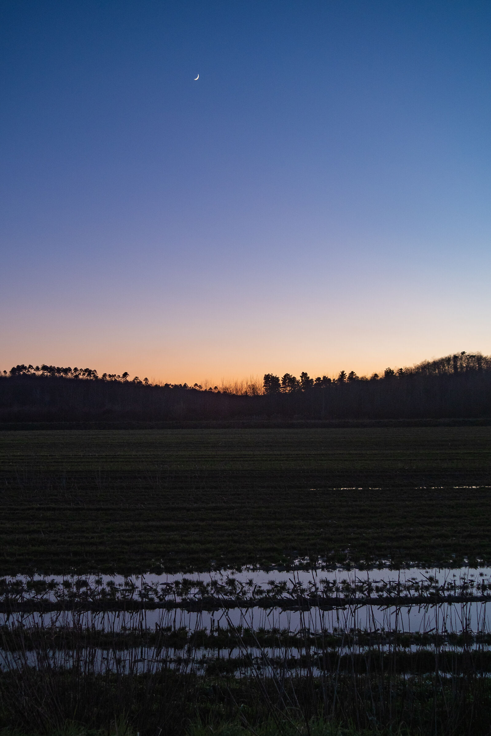 Padule di Fucecchio 12