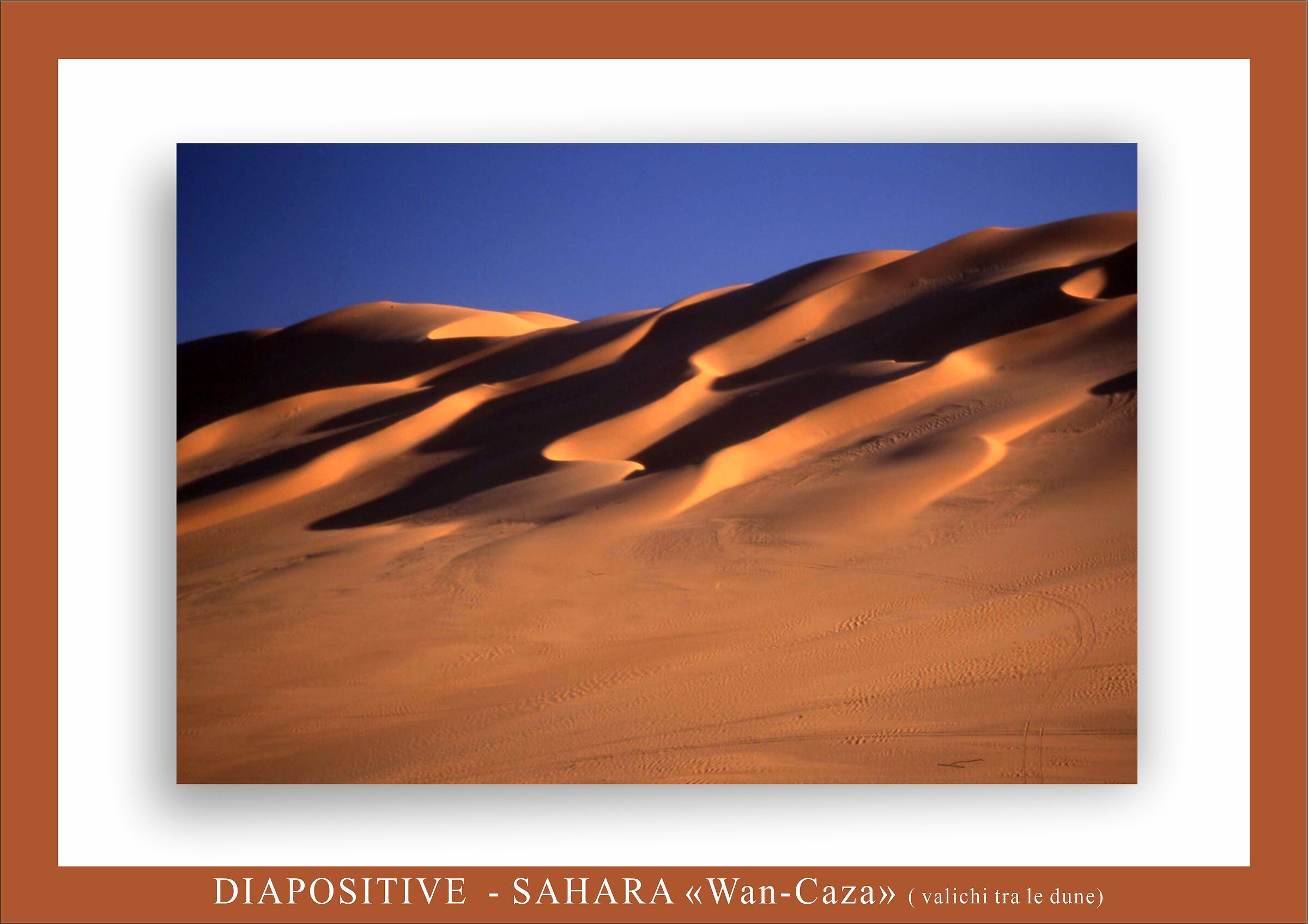 viaggiare tra terre dorate