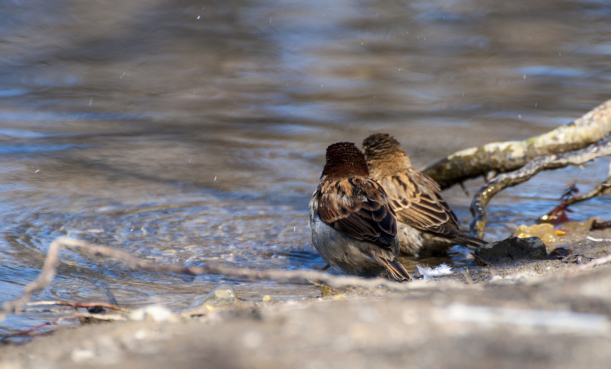 Love is watching both on the same side