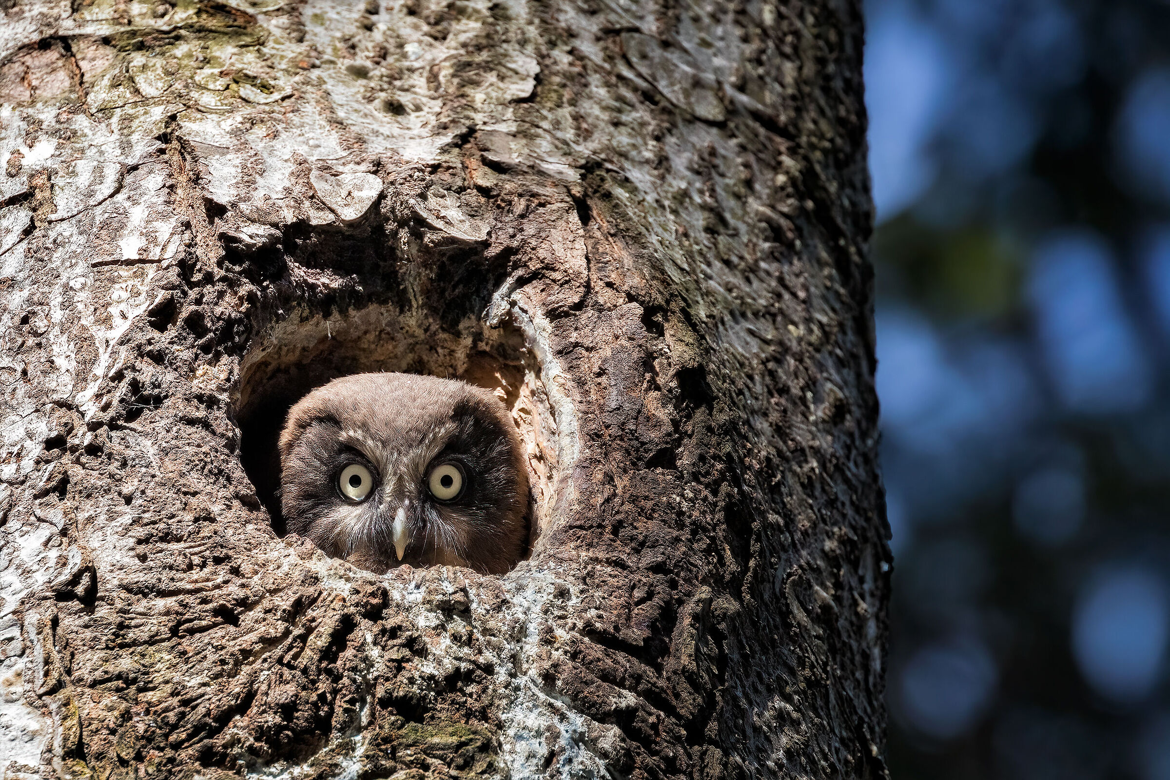 Il mondo là fuori mi fa paura