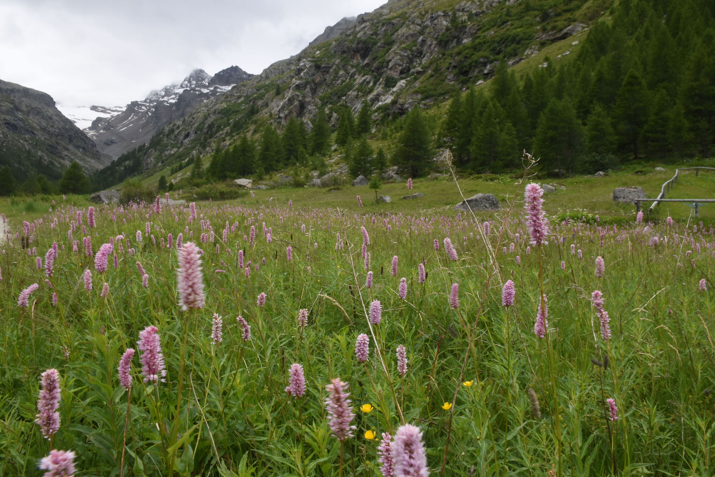 valley of the great entret