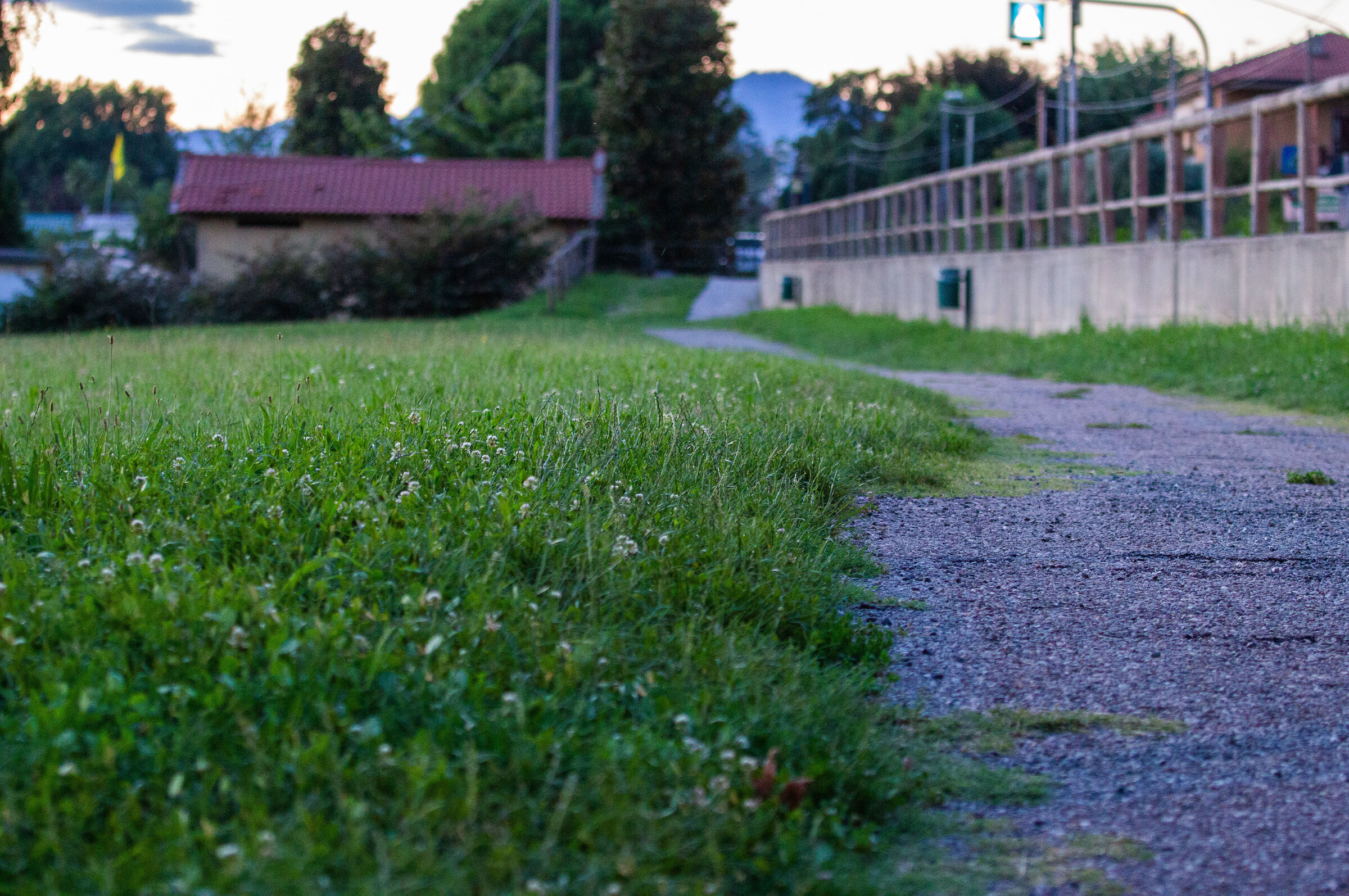 Lawn surrounding the cycle path