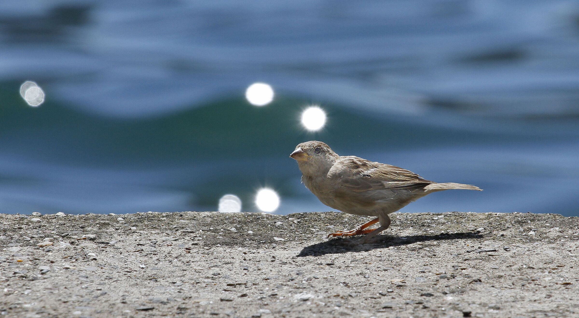 Fra nuvole salate e raggi di sole