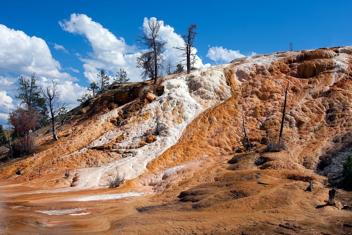 Casting of Sulphur ....