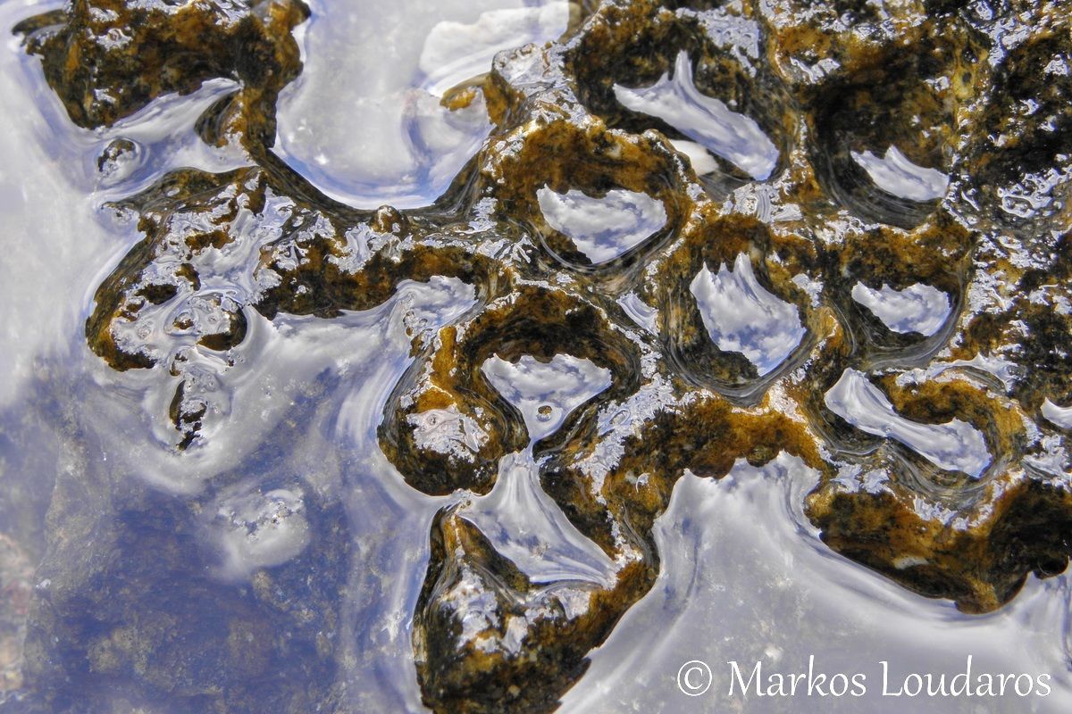 The Rock of Illusions