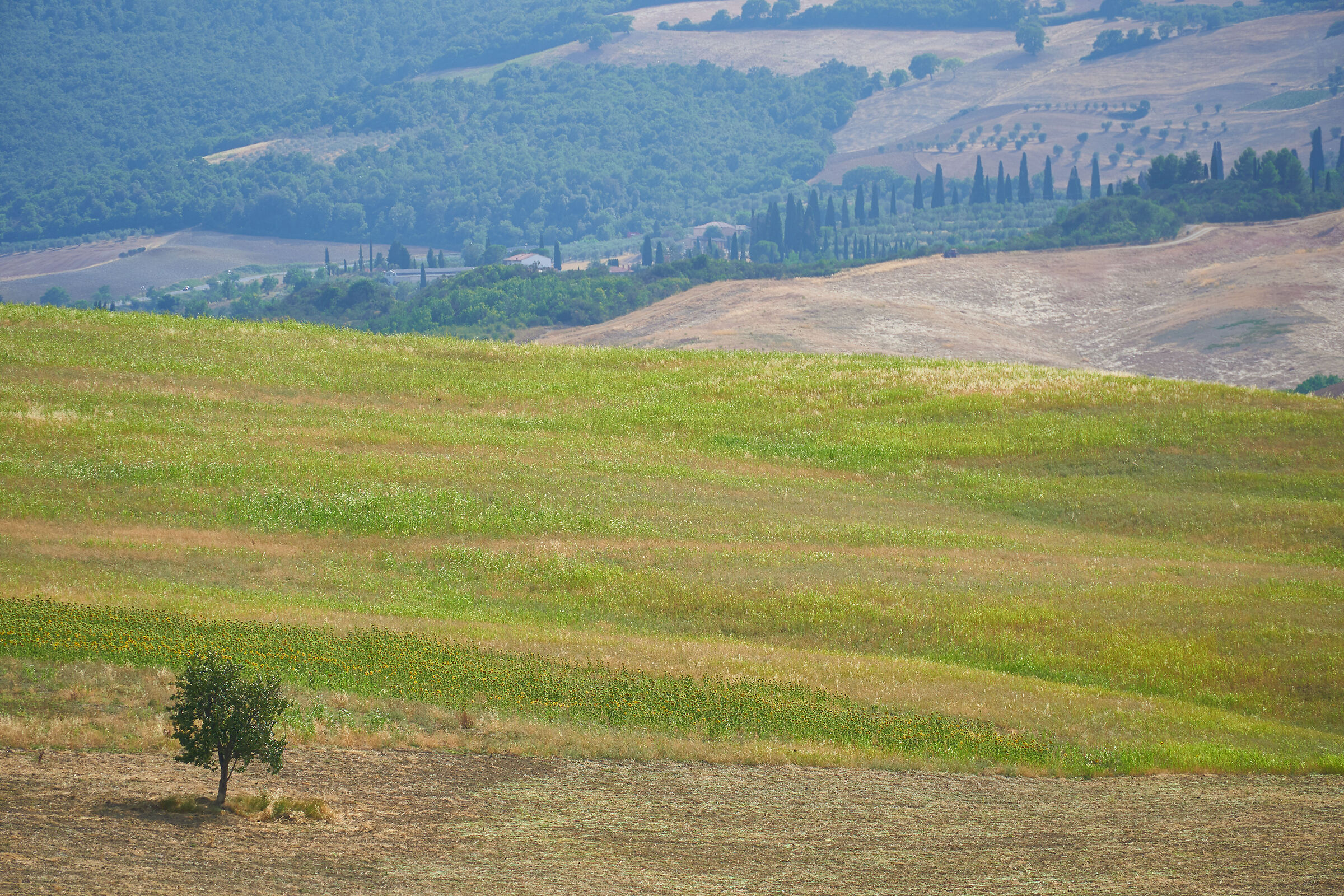 Val d'Orcia