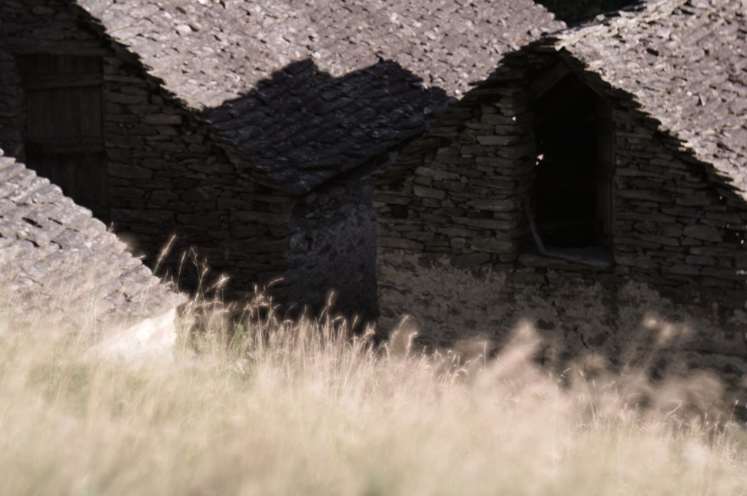 Rustici con Petzval 1870 ca