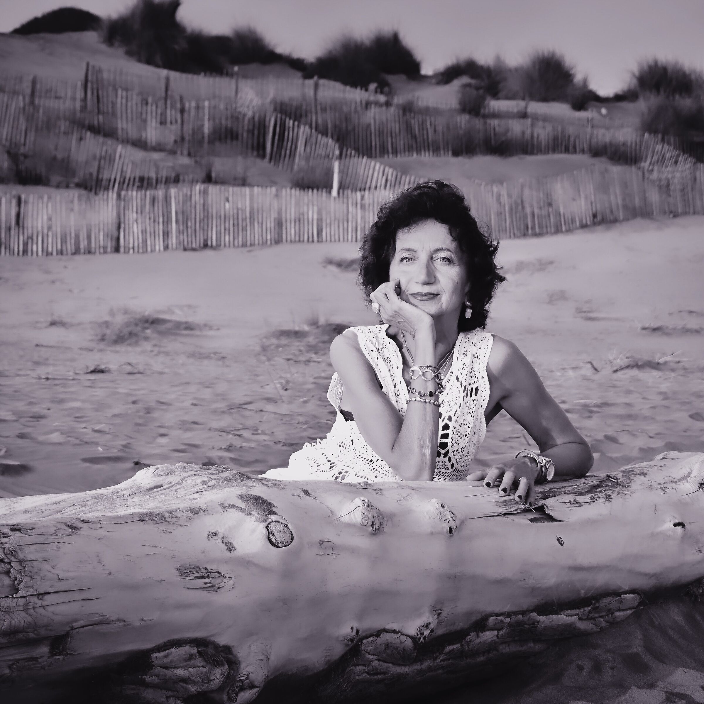 Roses on the sand of the sea