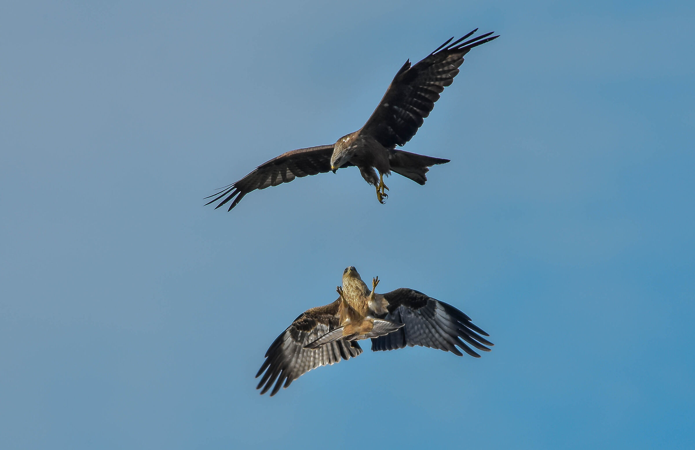 Scontro in volo