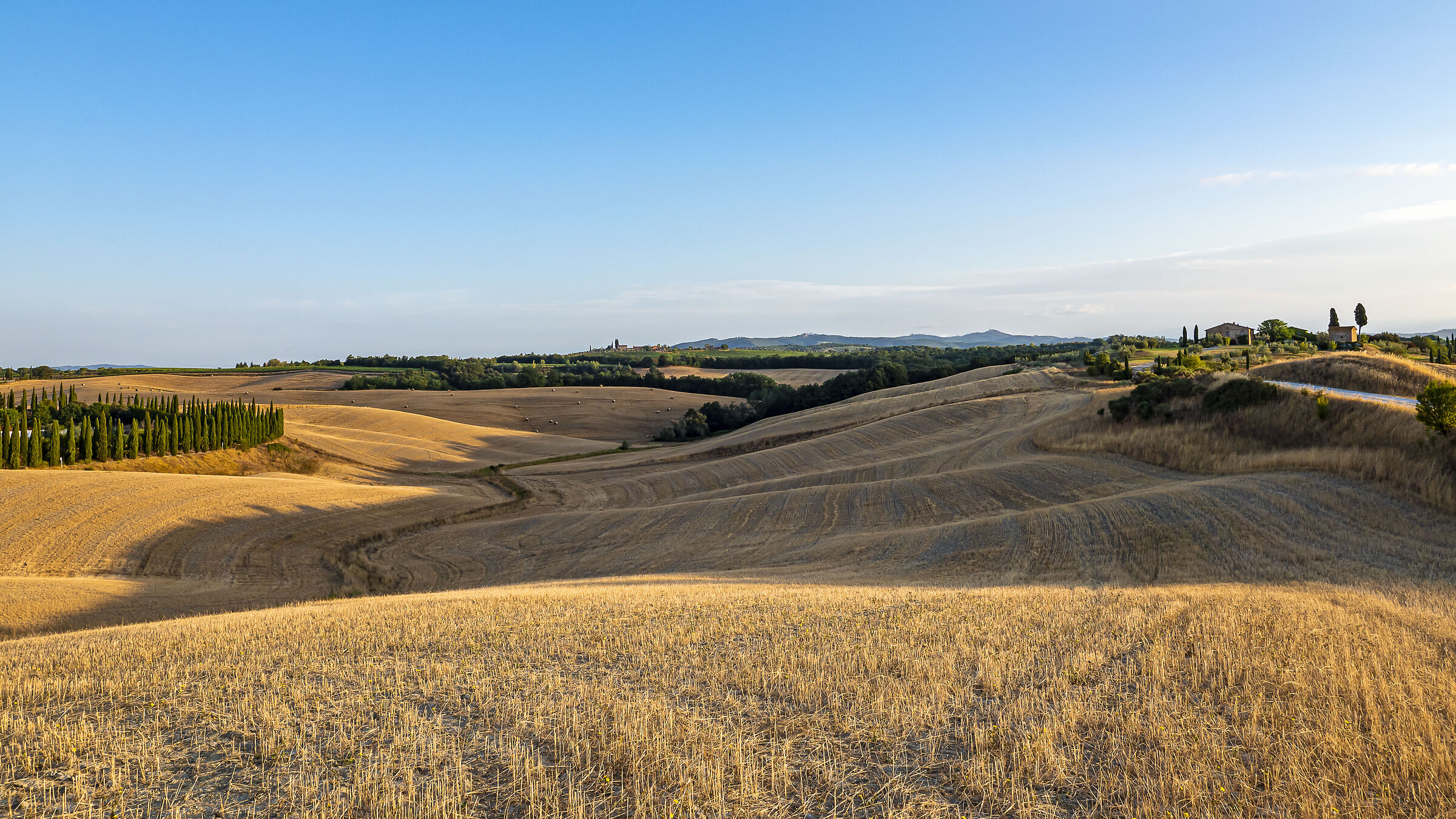 Crete Senesi after harvesting