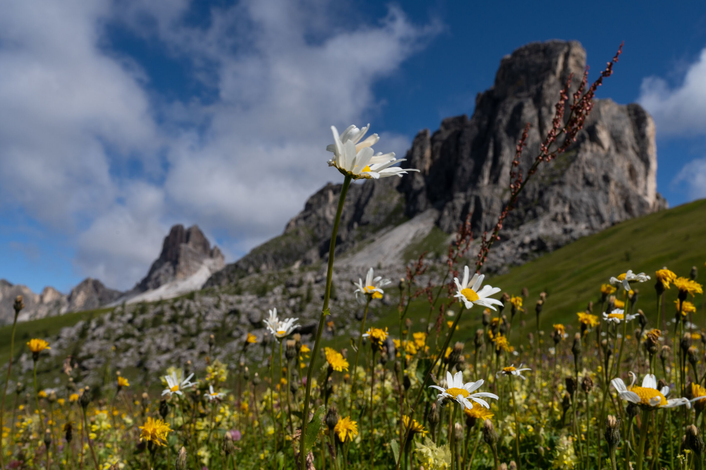 Davanti a cosi tanta belleza