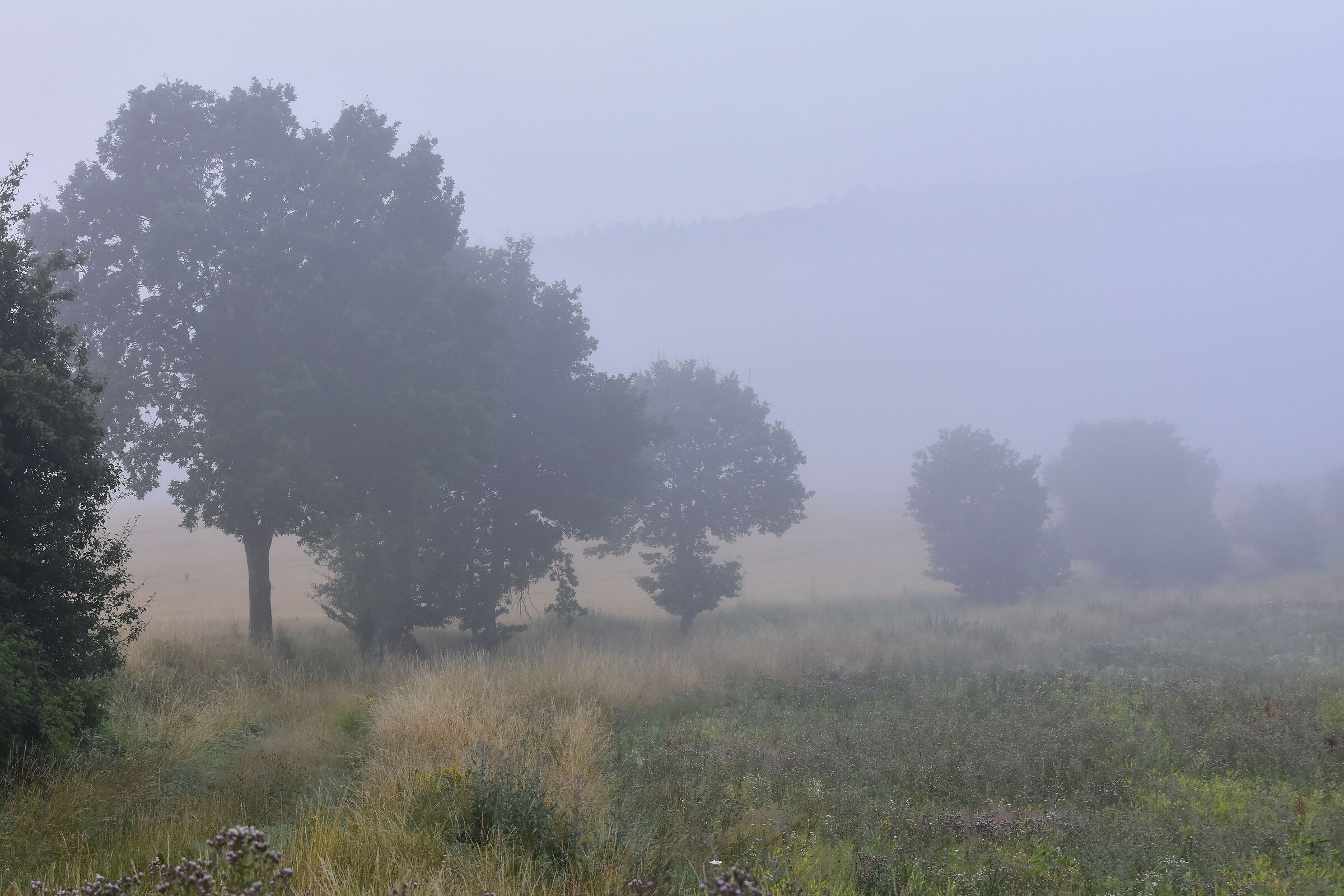 la fine dell'estate?