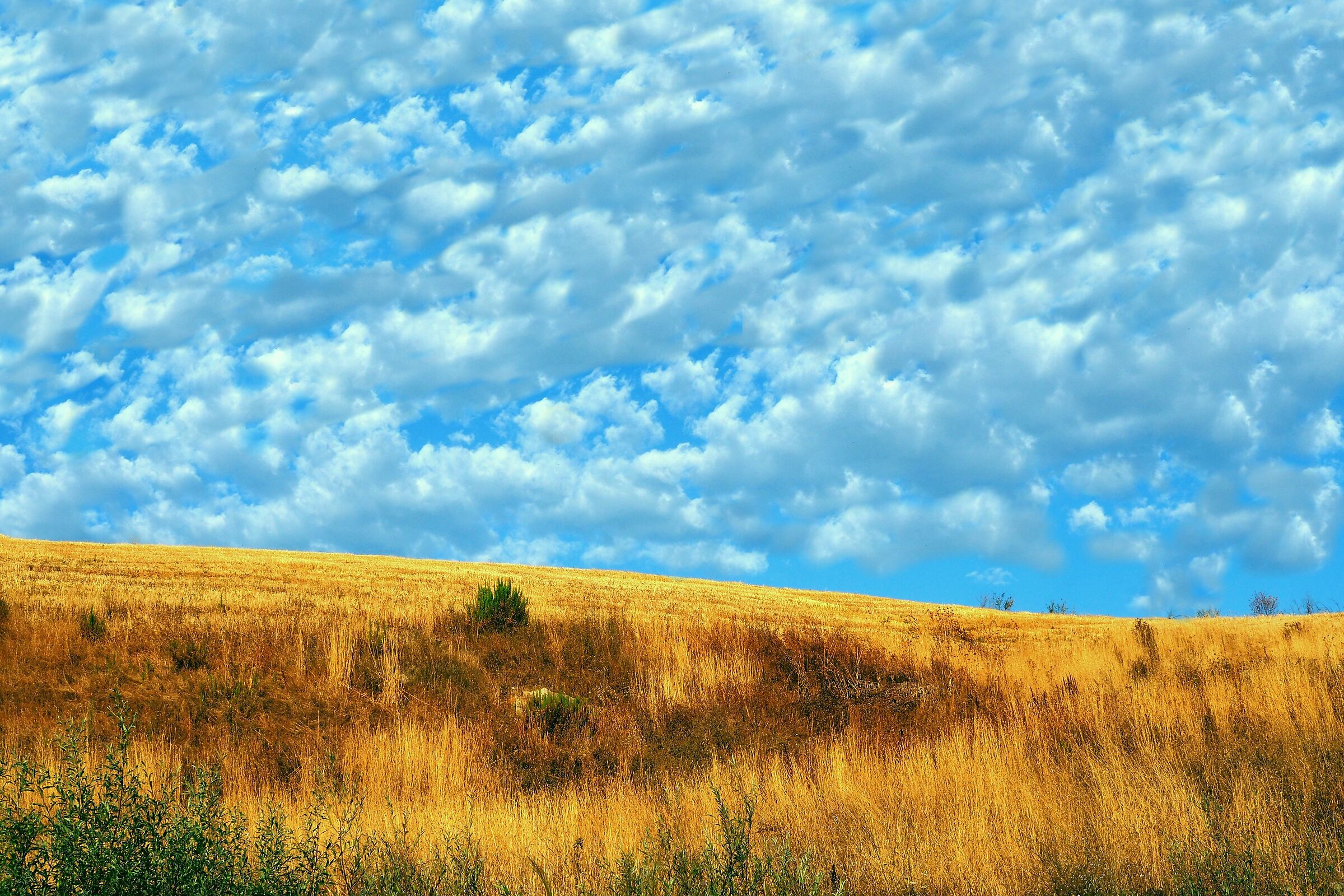 August clouds
