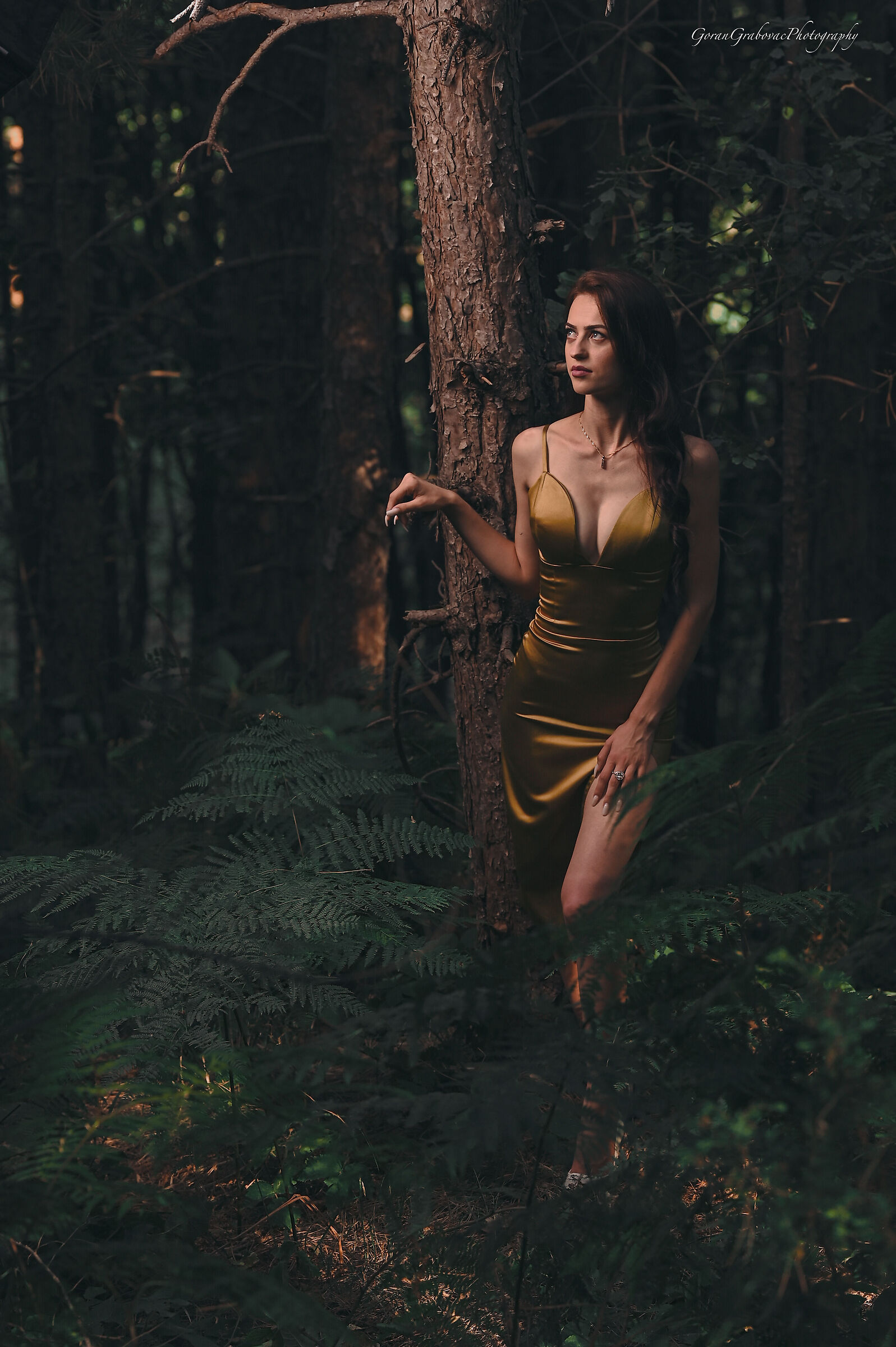 Untitled Photo