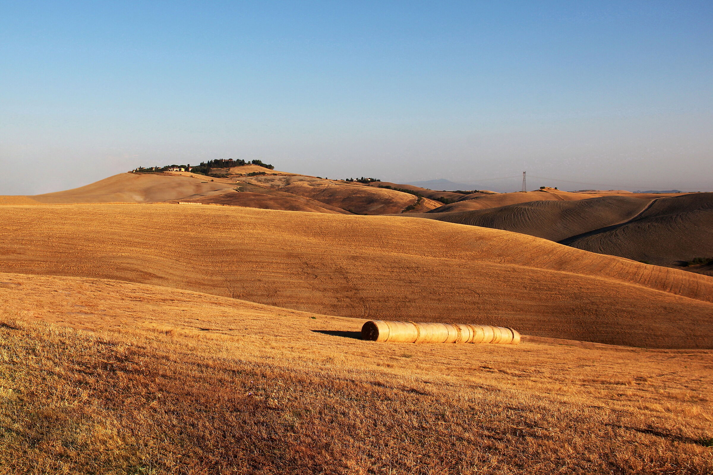 Scorcio di campagna senese