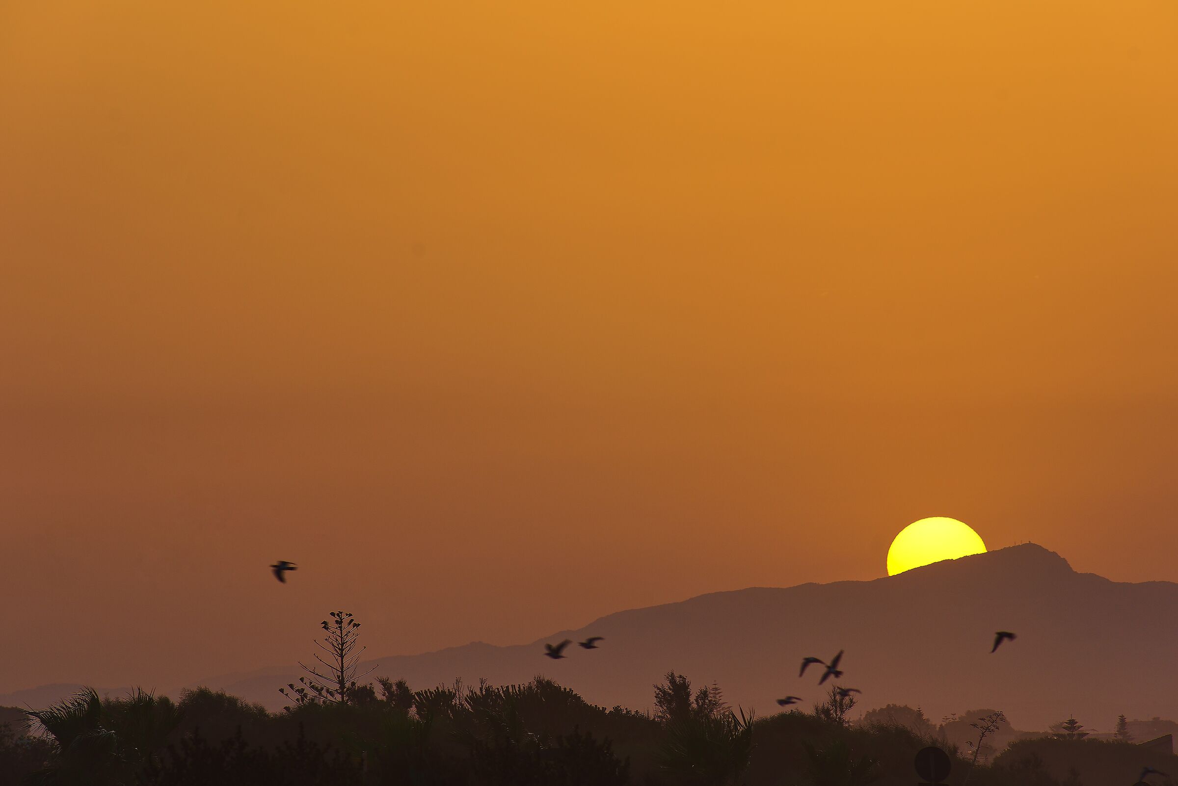 Three Fountains at dawn: flying freely