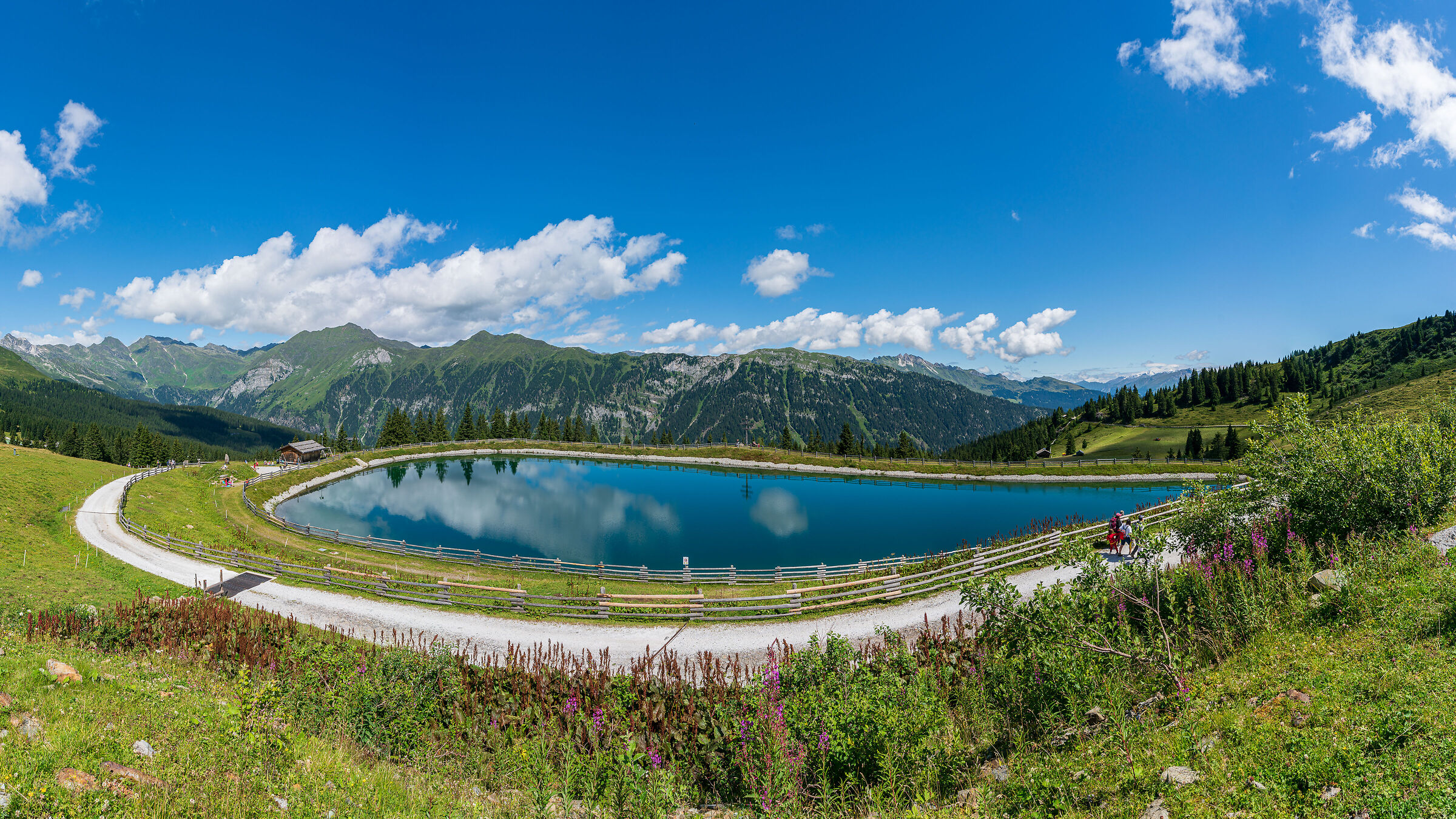 Malga Rinneralm - Racines
