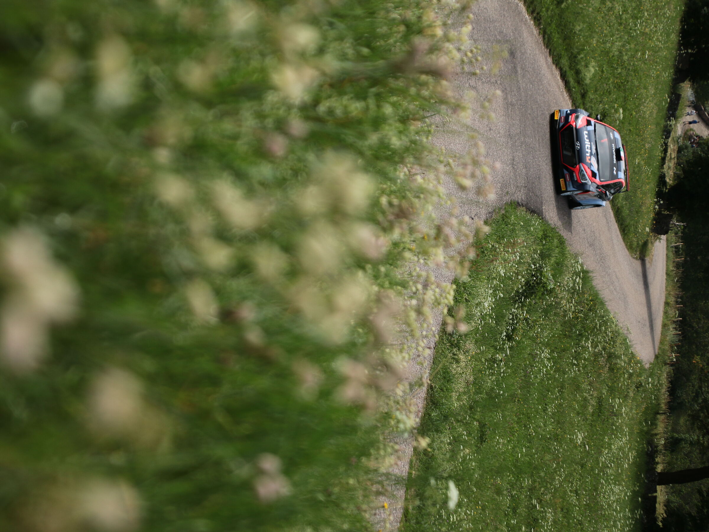 Floral rally 2