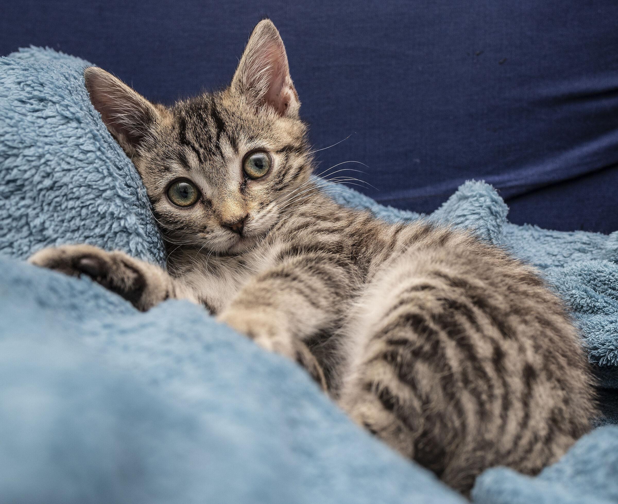 I look good, but it's not like that